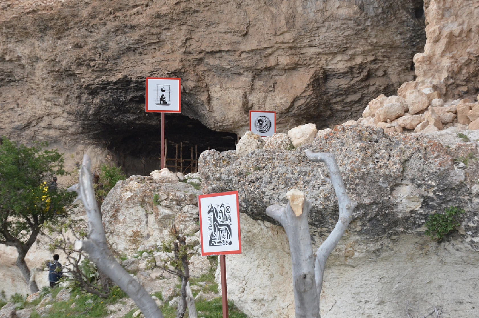 Malatya'da 65 milyon yıllık mağaralar sanatla buluştu: Şimdi kütüphane oluyor!