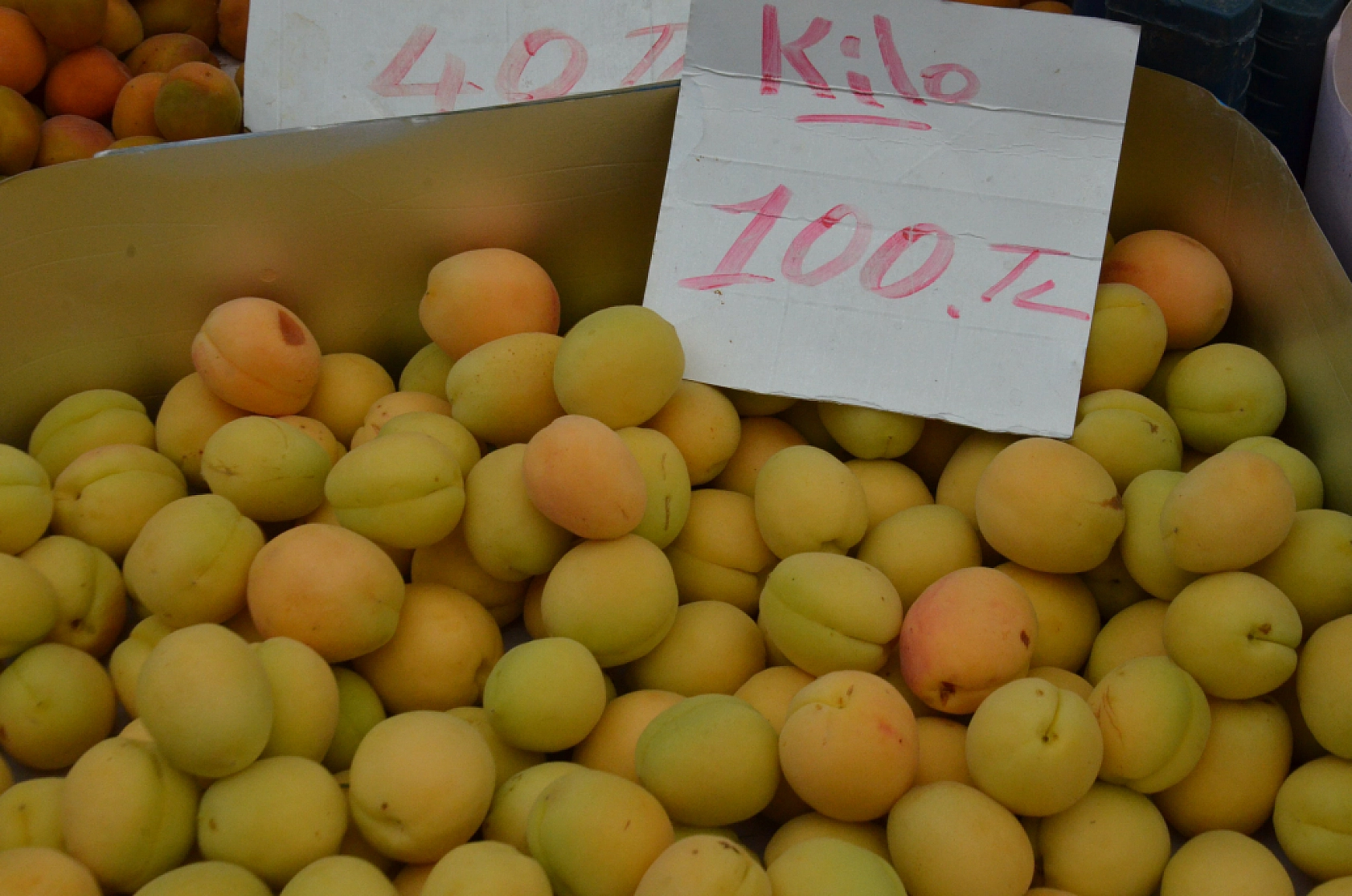 Malatya'da pazar tezgahları şenlendi: Fiyatlar düşmeye başladı