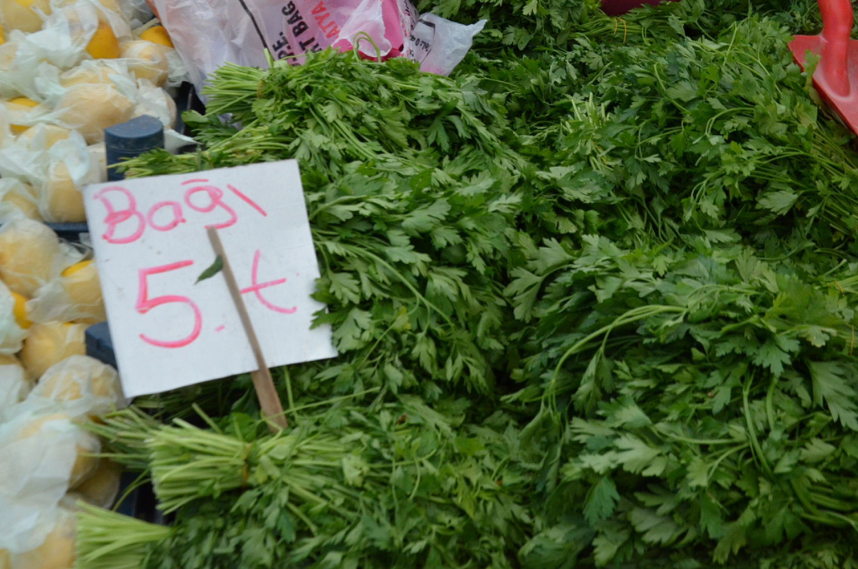 Malatya'da pazar tezgahları şenlendi: Fiyatlar düşmeye başladı