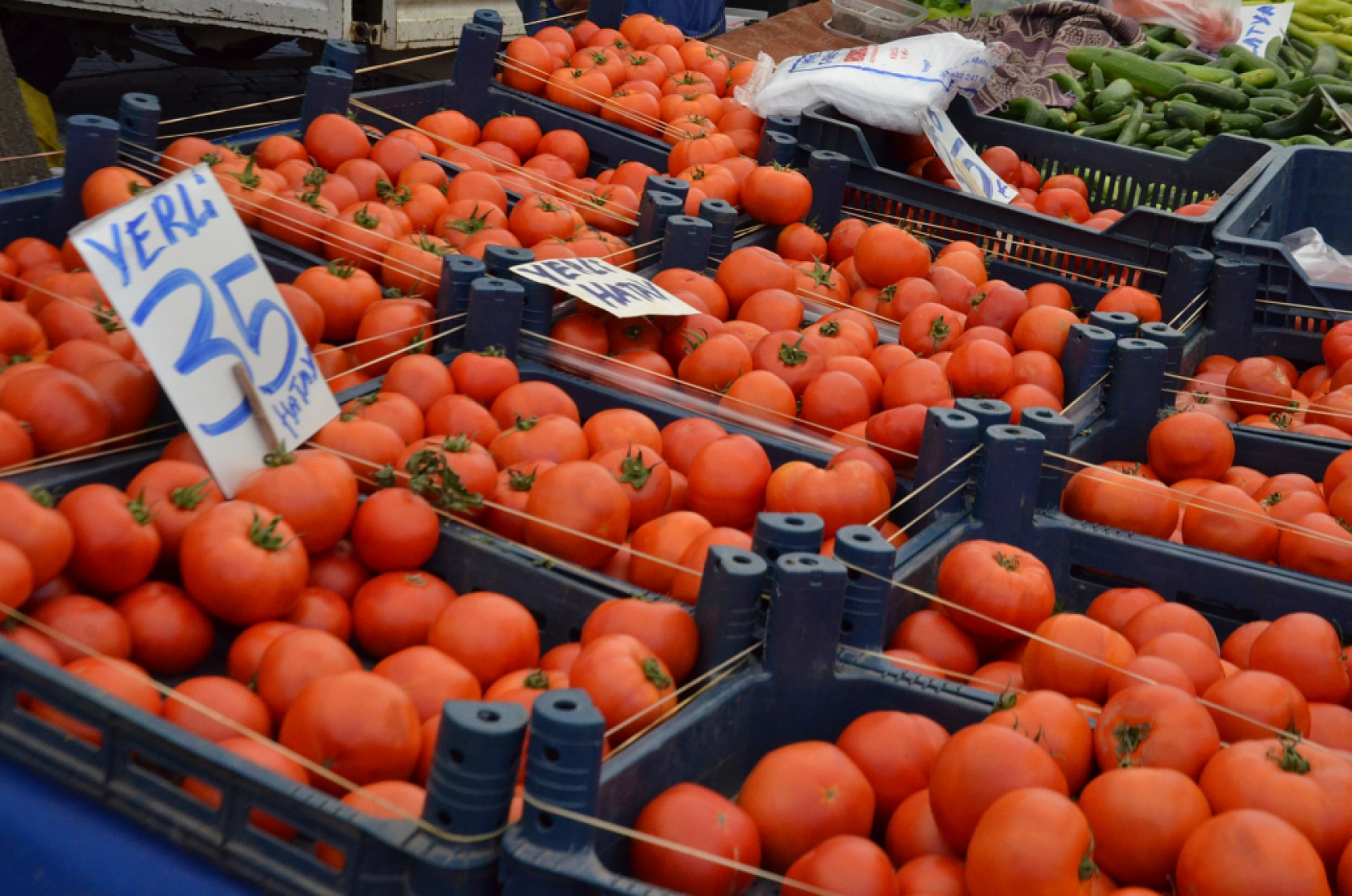 Malatya'da pazar tezgahları şenlendi: Fiyatlar düşmeye başladı