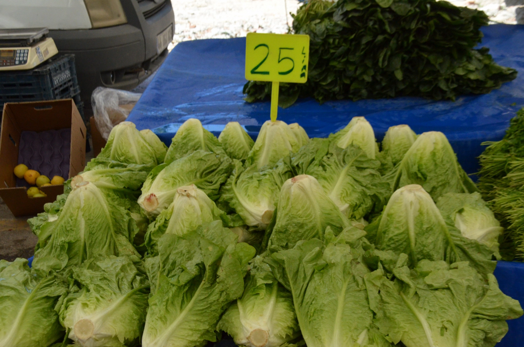 Malatya'da pazar tezgahları şenlendi: Fiyatlar düşmeye başladı