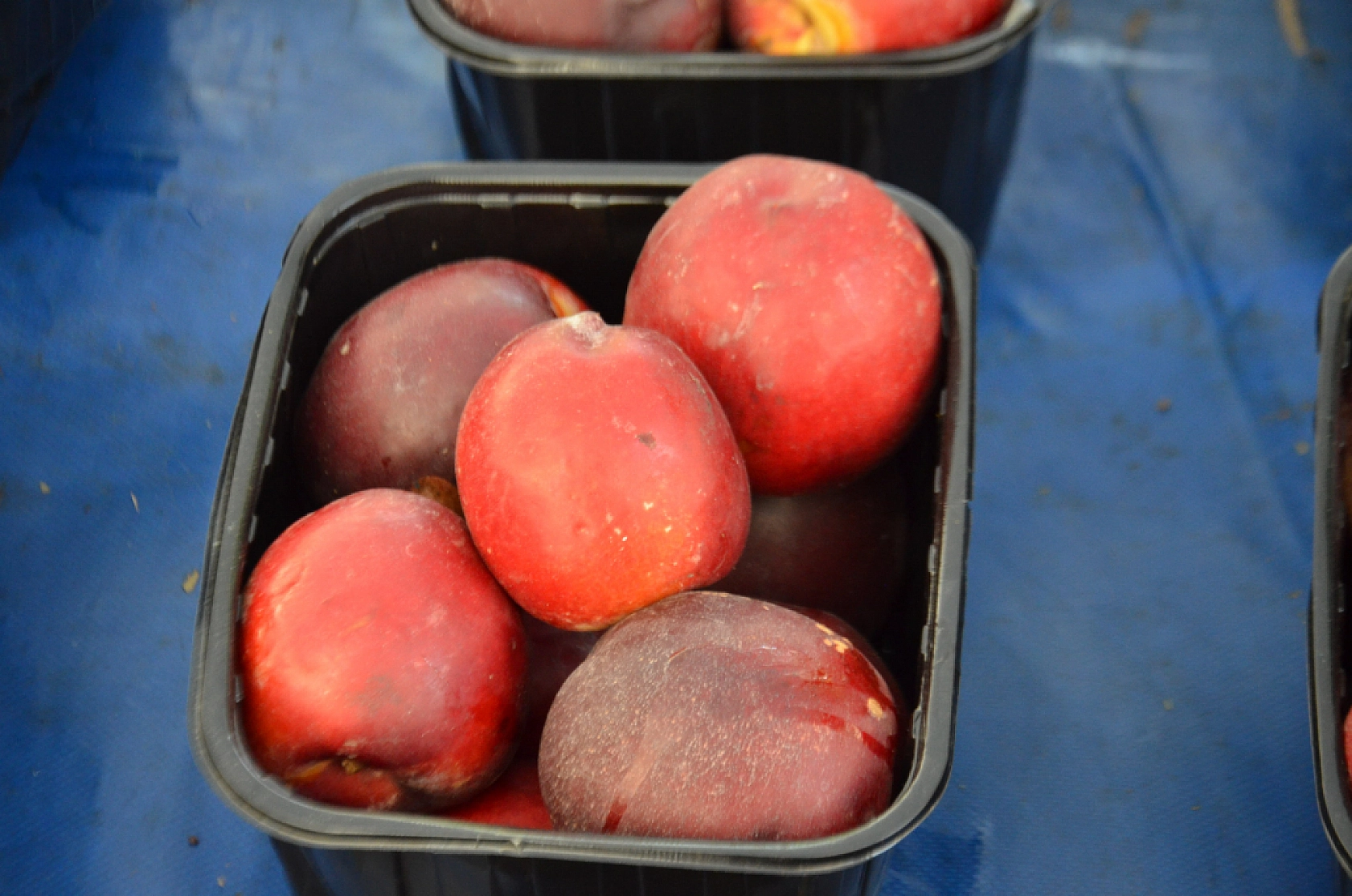 Malatya'da pazar tezgahları şenlendi: Fiyatlar düşmeye başladı