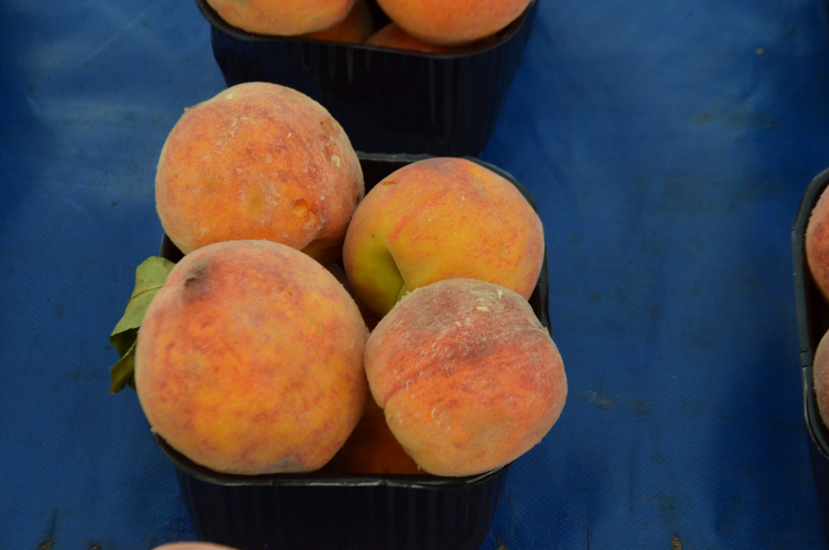 Malatya'da pazar tezgahları şenlendi: Fiyatlar düşmeye başladı