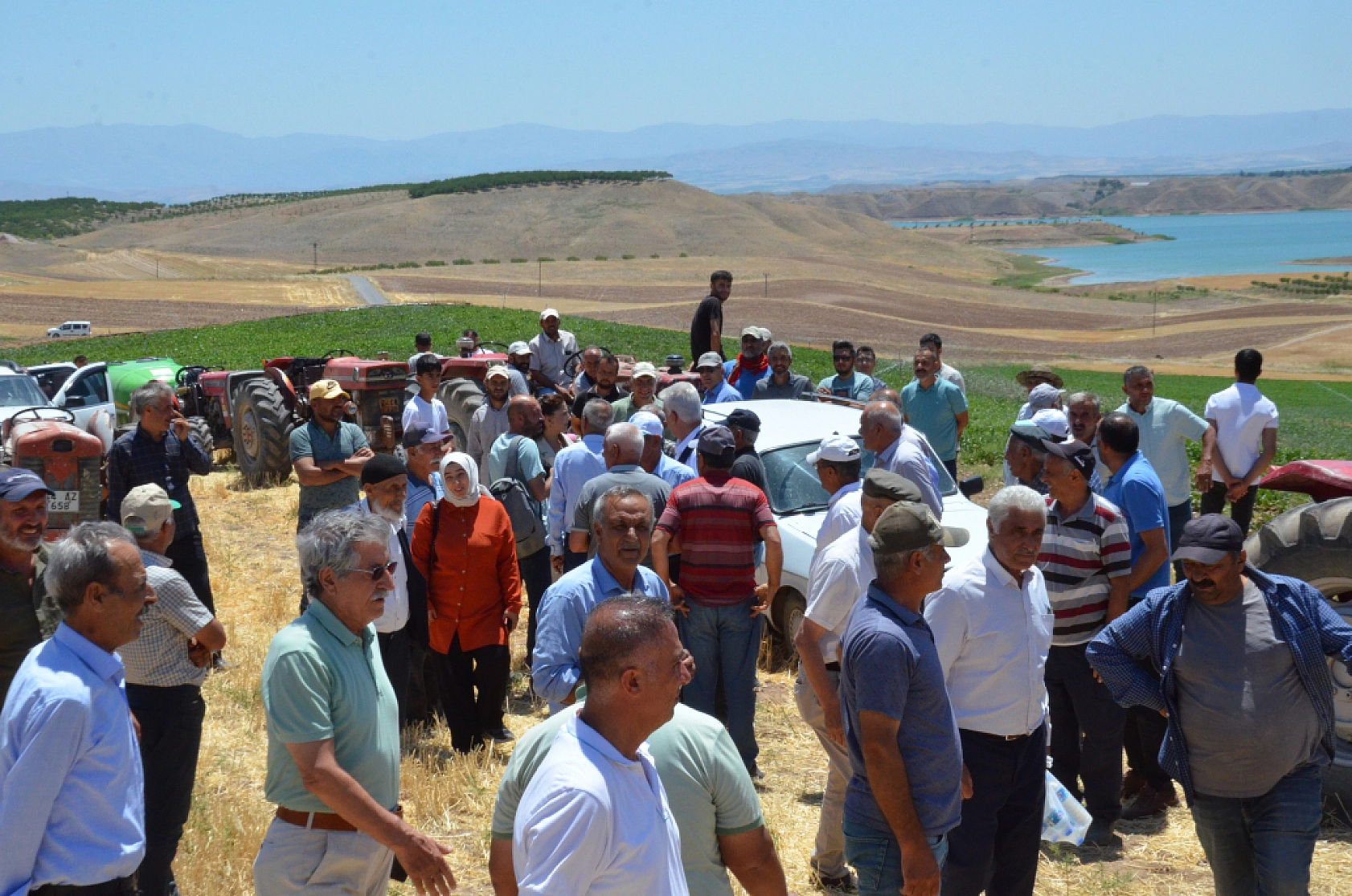 Malatya'nın bereketli Çukurova'sı rant kurbanı: GES bahanesiyle talan!