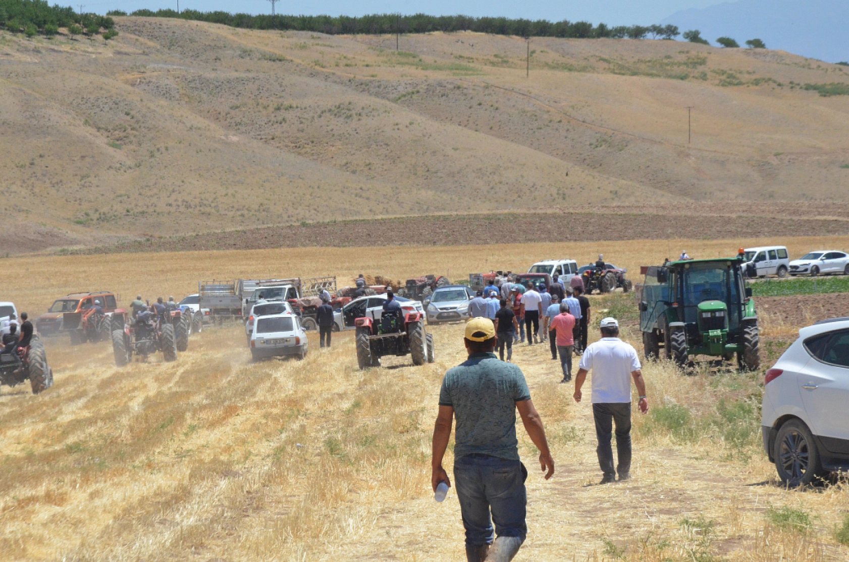Malatya'nın bereketli Çukurova'sı rant kurbanı: GES bahanesiyle talan!