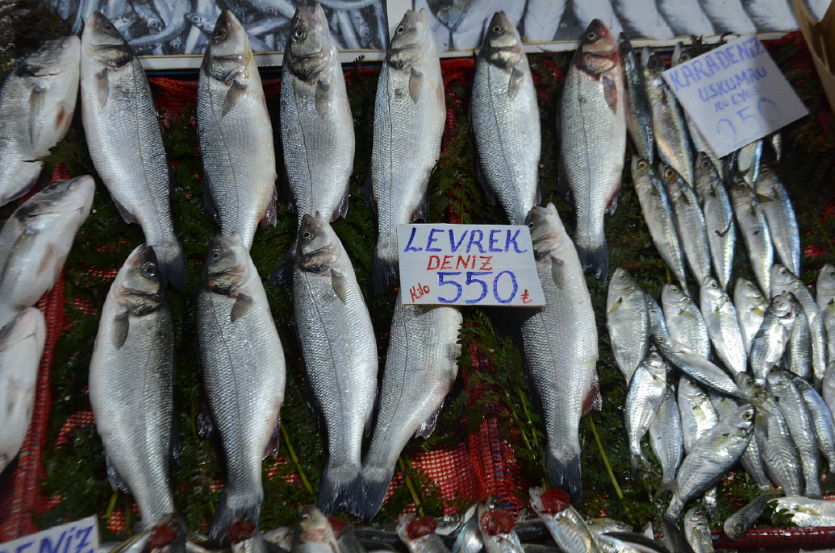 Hamsinin fiyatı artınca vatandaş balığa hasret kaldı