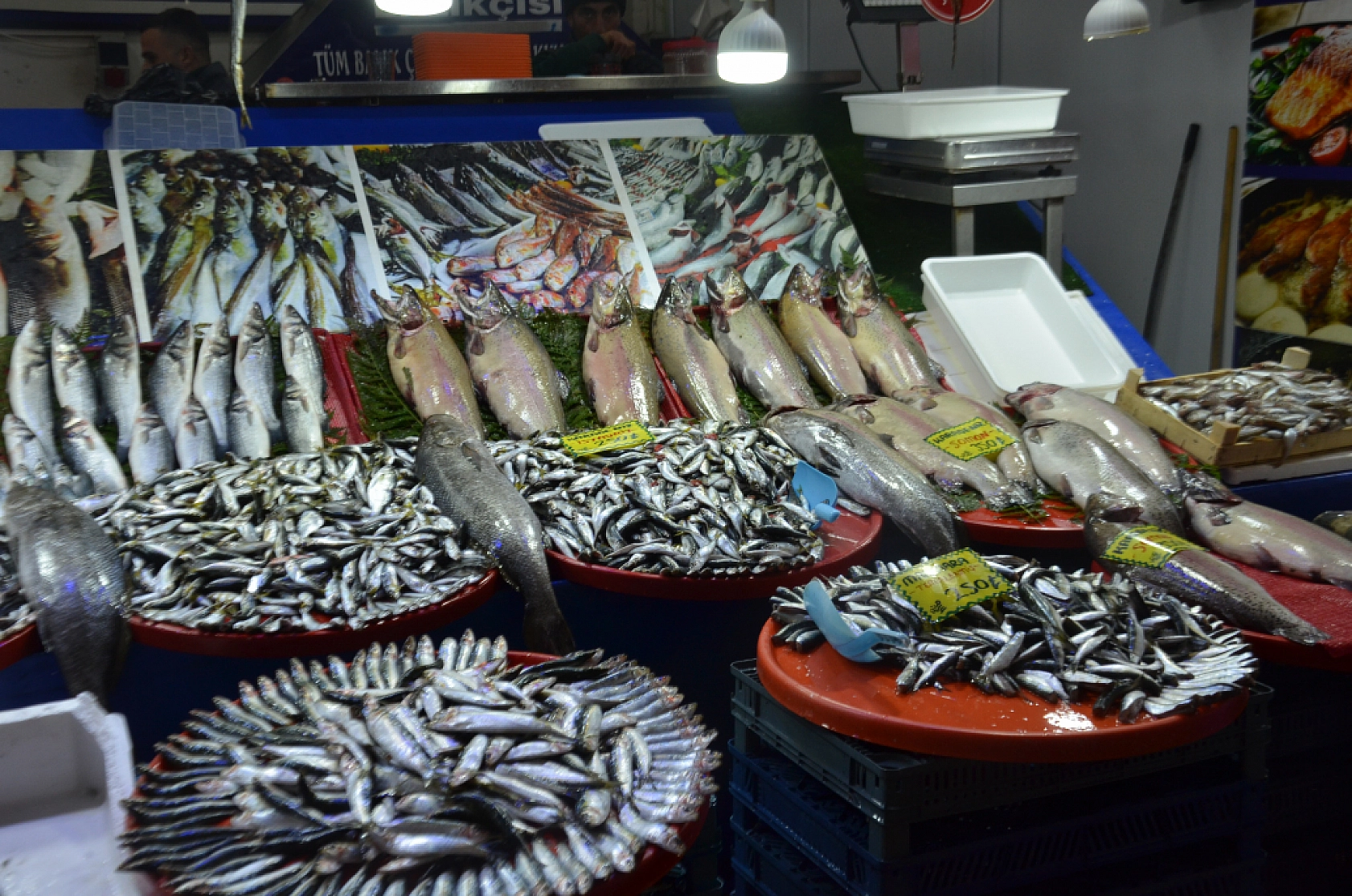 Hamsinin fiyatı artınca vatandaş balığa hasret kaldı