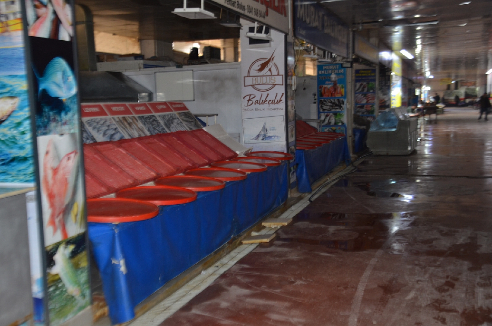 Malatya'da balık sezonu kapandı: Son dönemin balıkları hangileri? Hamsi mi, Somon mu?