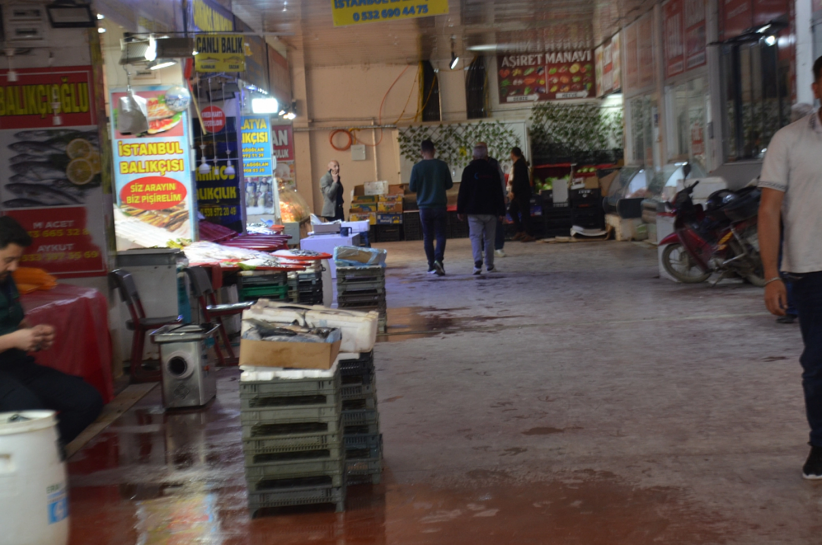 Malatya'da balık sezonu kapandı: Son dönemin balıkları hangileri? Hamsi mi, Somon mu?