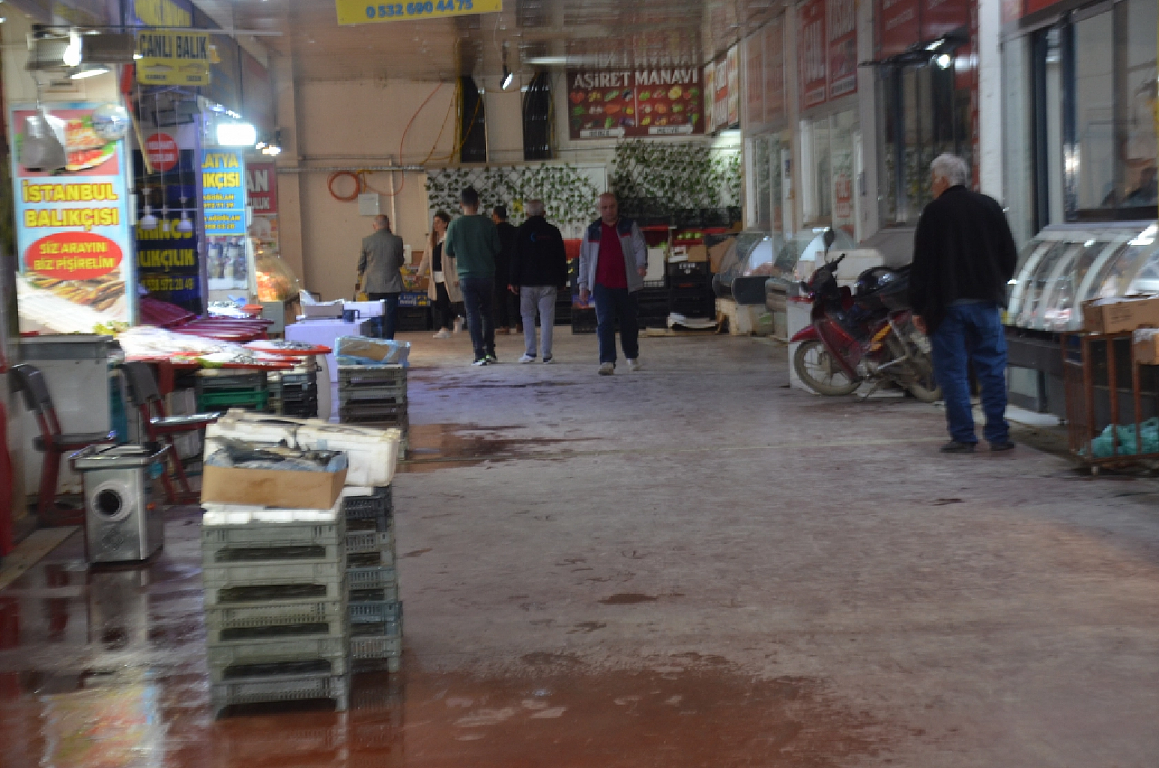 Malatya'da balık sezonu açıldı: Tezgahlarda en uygun balık belli oldu