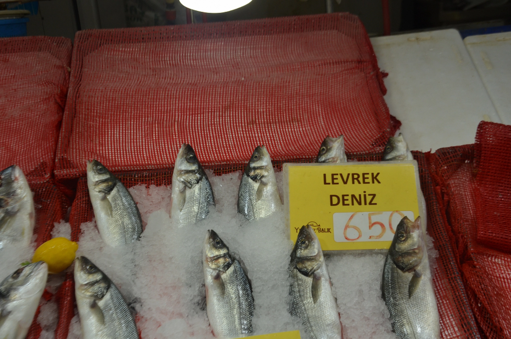 Malatya'da balık sezonu açıldı: Tezgahlarda en uygun balık belli oldu