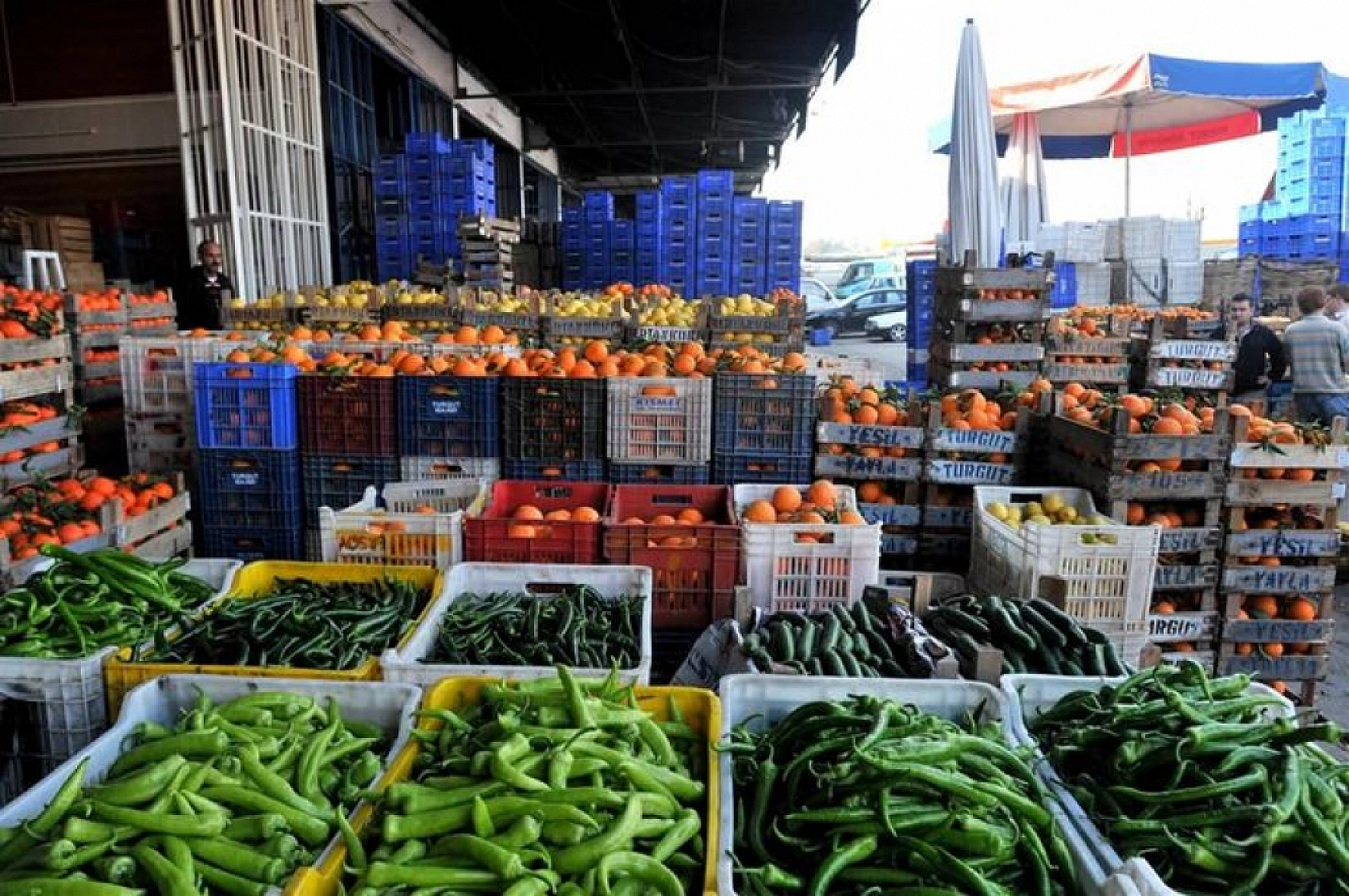 Malatya'da 5 Kasım Hal Fiyatları: Meyve-Sebze Fiyatları Ne Kadar? İşte Yanıtı…