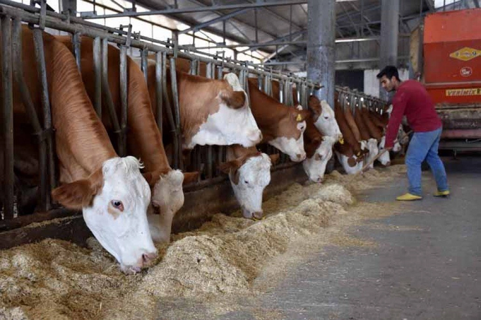 Muş'ta devlet desteğiyle 4,5 milyon liralık tesis