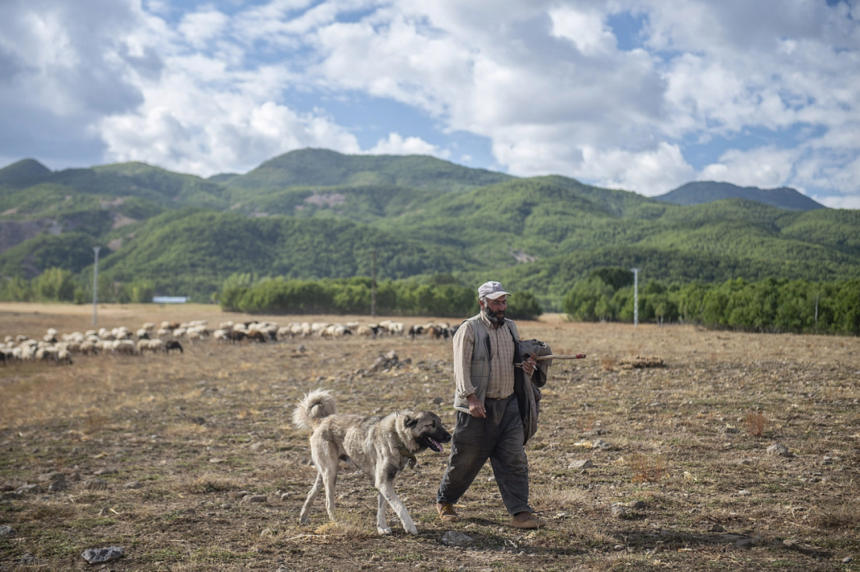 Zorlu dönüş başladı