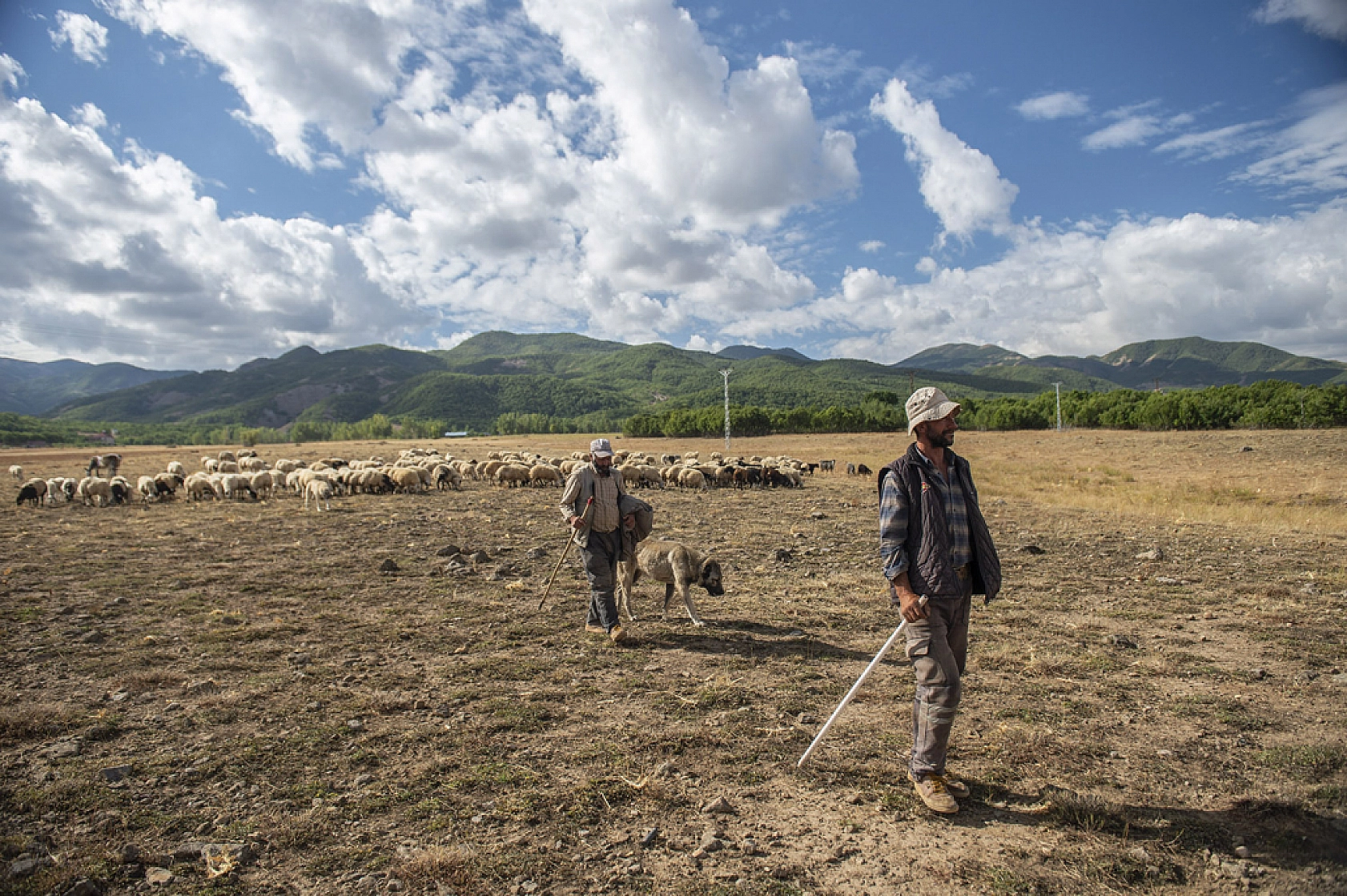 Zorlu dönüş başladı