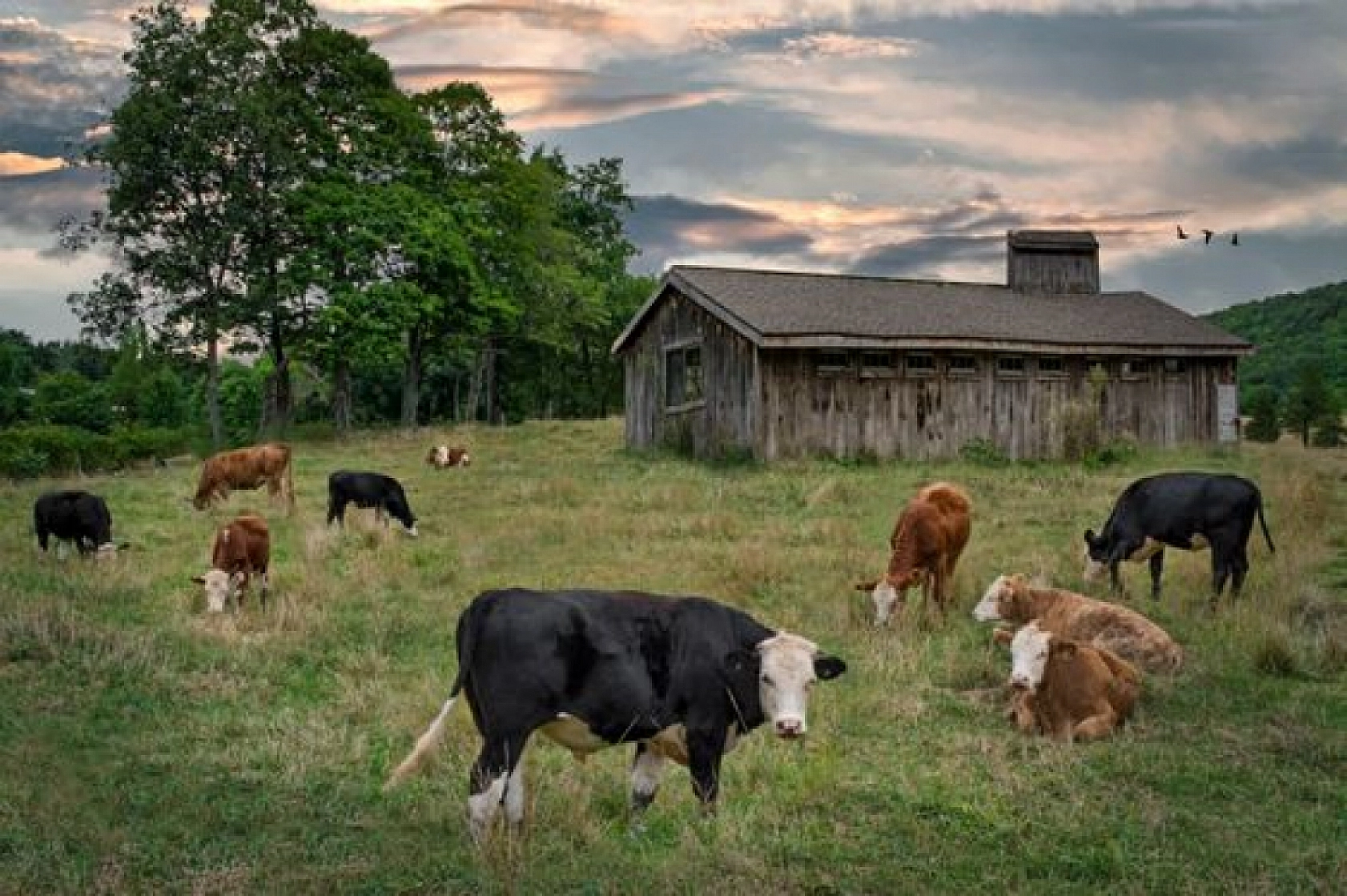 Türkiye İthalatı Durdurdu! Artık Ülkeye Girişi Yasak Oldu…!