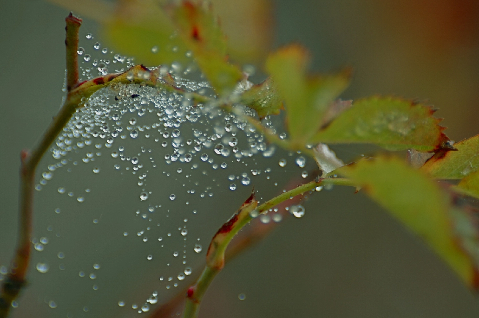Malatya'da Hava Kaç Derece Ölçüldü?