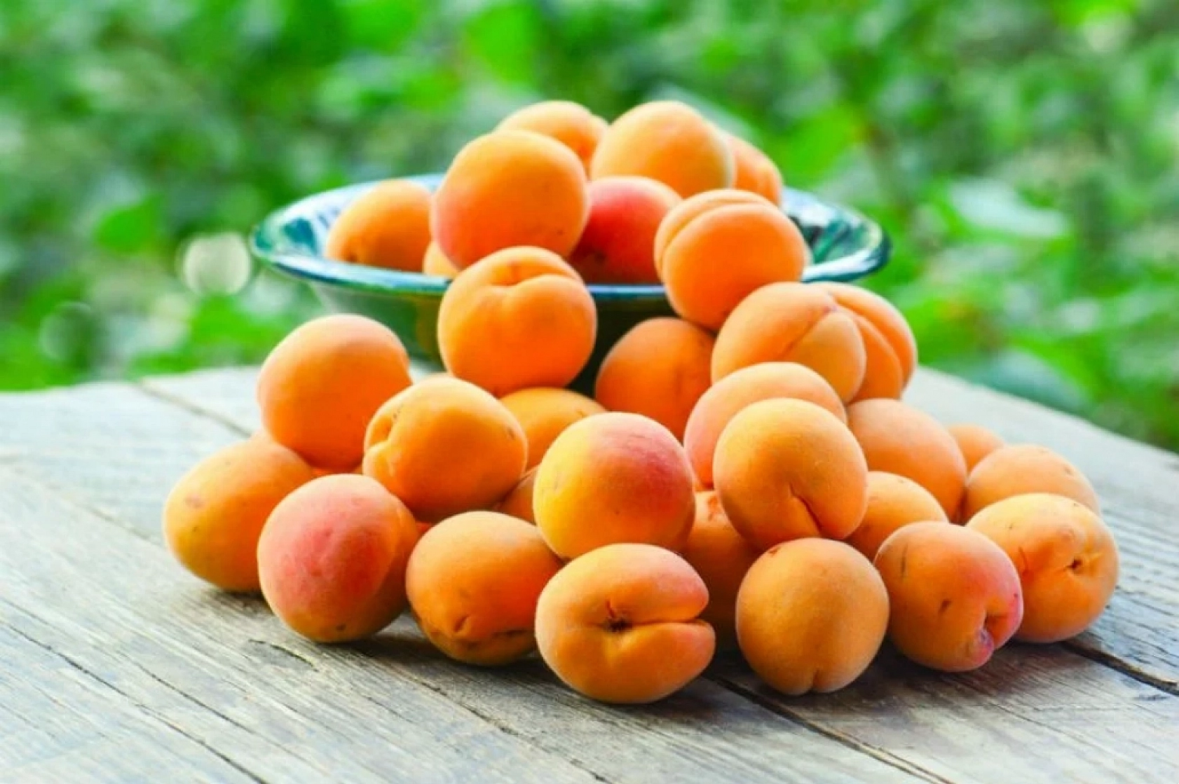 TMO'dan Alım Kararı! Malatya Kayısısı Giresun Fındığının Gölgesinde Kaldı!