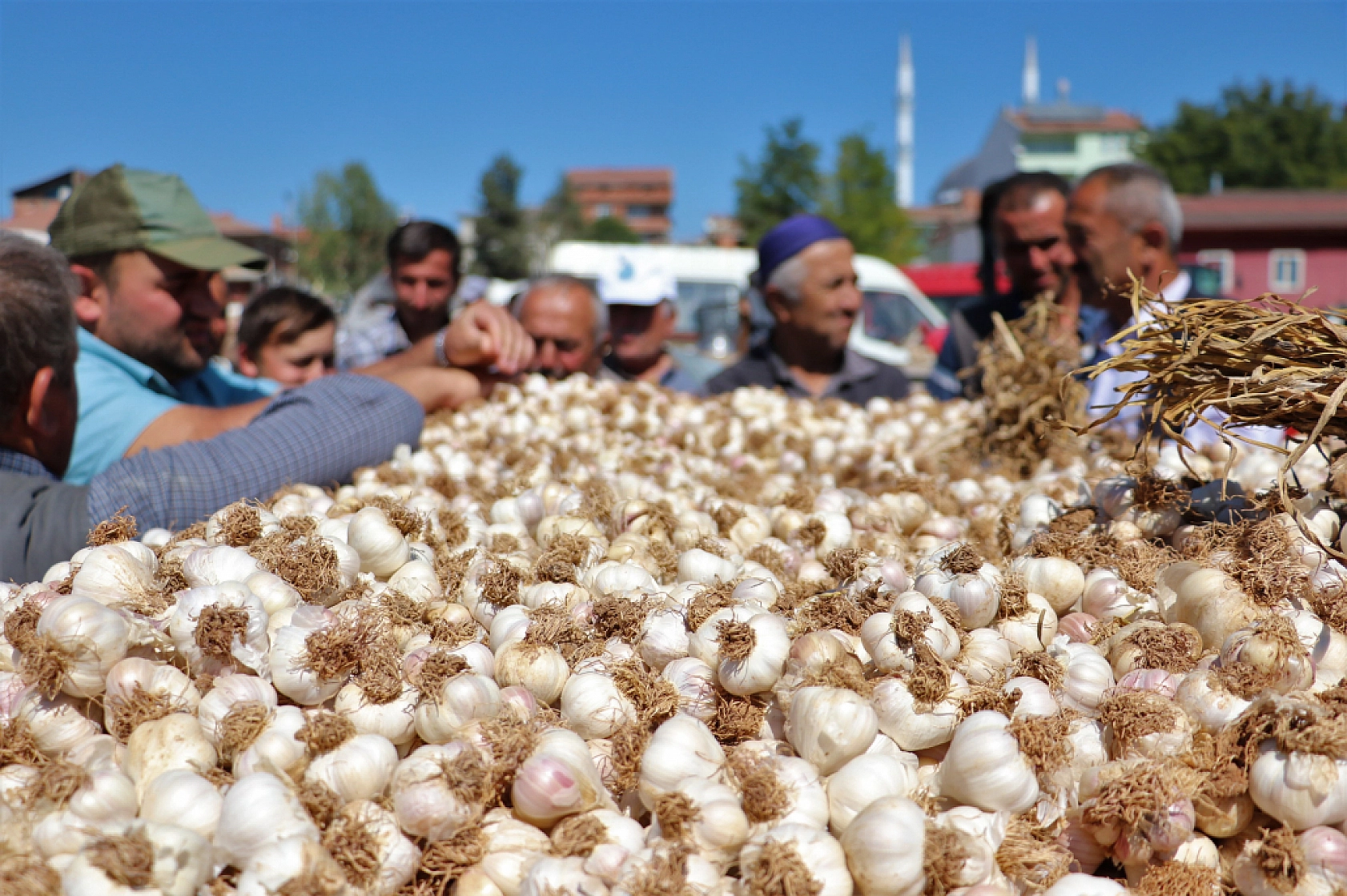 Malatya Hal Pazarı Fiyatları Açıklandı: En Ucuz Sebze ve Meyveler Belli Oldu