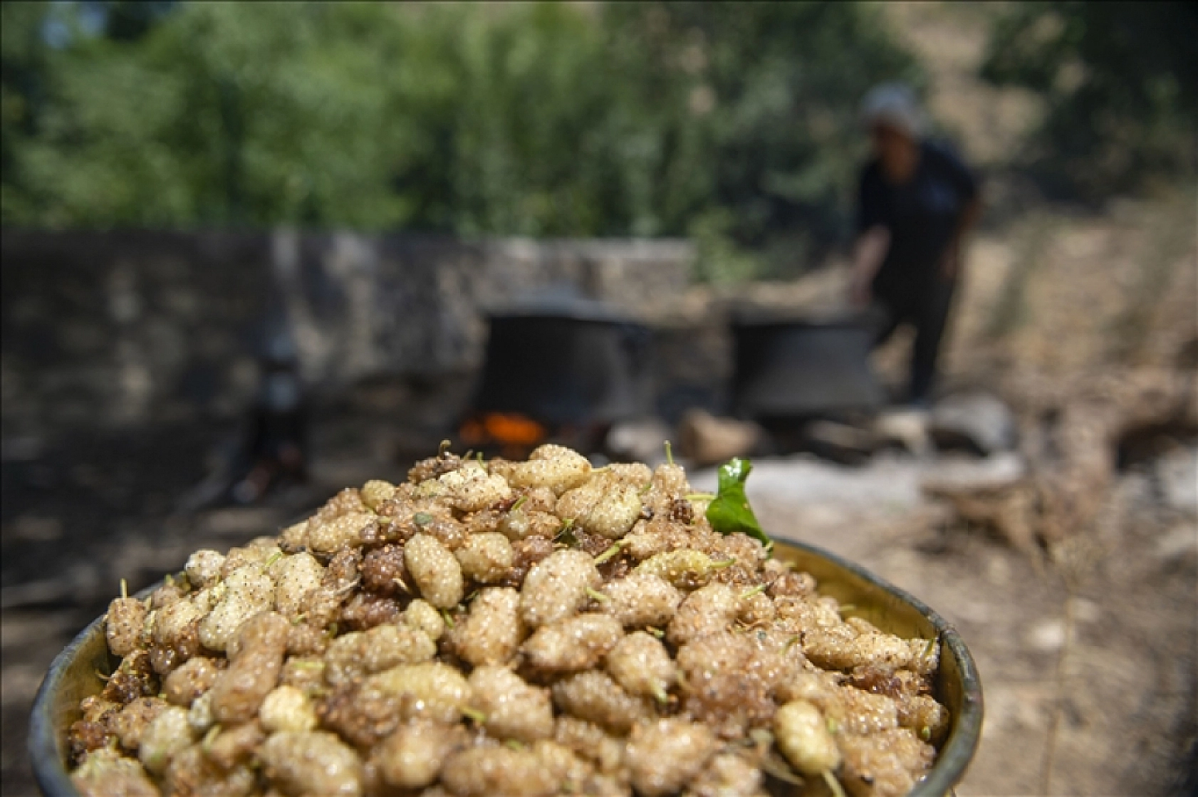 Malatya'dan sofralara uzanan şifa kaynağı!