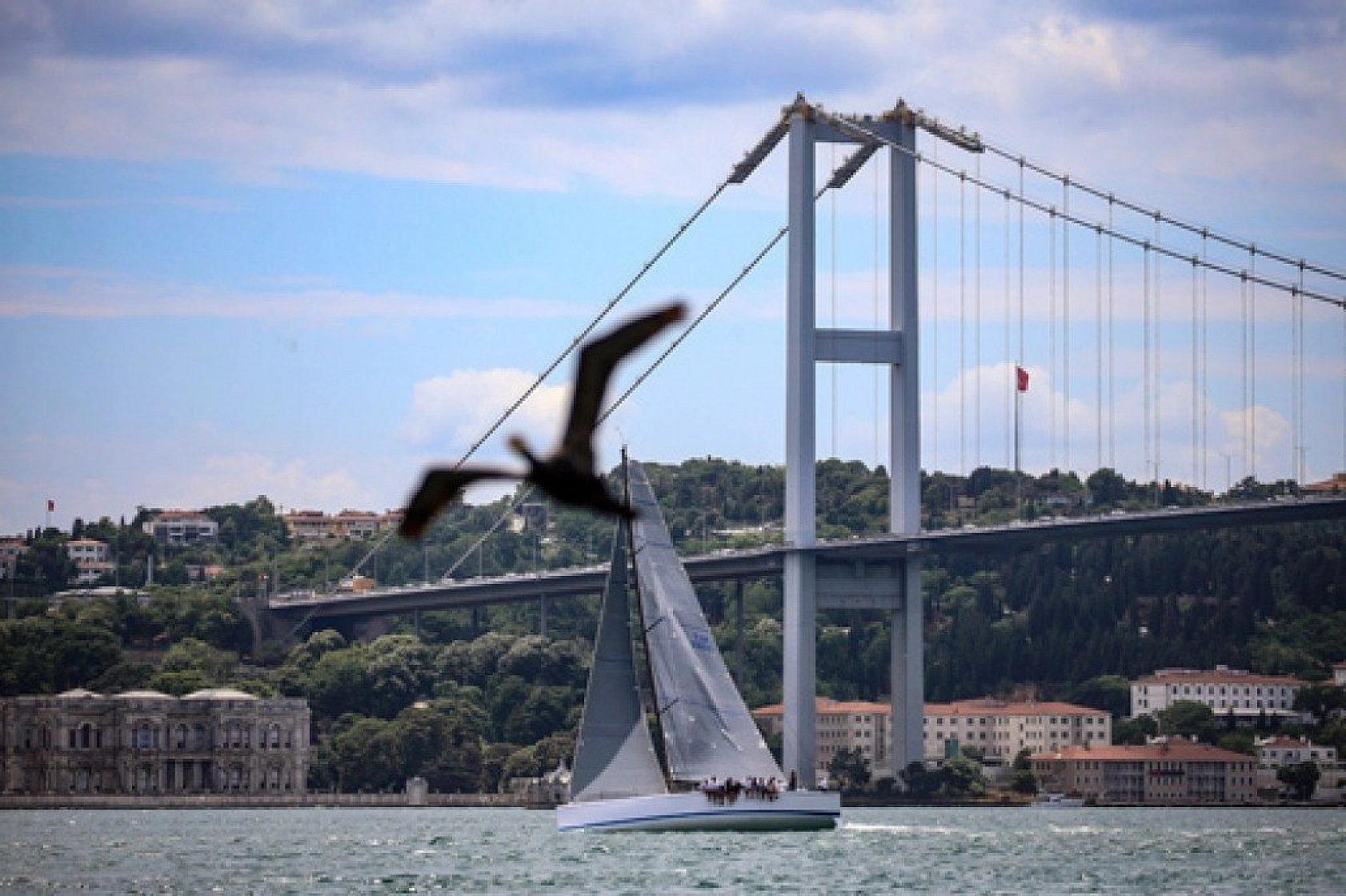 İstanbul Boğazı'nda yelken şöleni