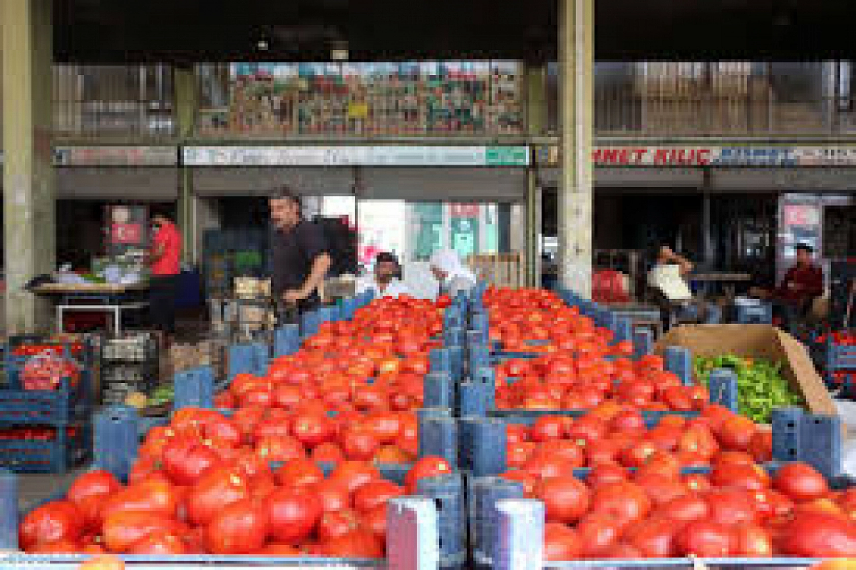 Cebini Düşünen Vatandaşlar Malatya Haline Koşuyor: Peki Halde Fiyatlar Nasıl? İşte 7 Aralık Fiyat Listesi…