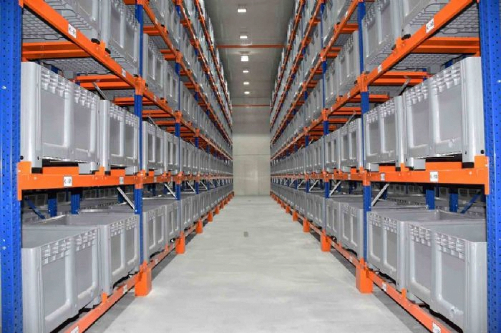 Ağbaba'dan Kayısı Alımı Açıklaması! Fiyatlar Beklentinin Altında!