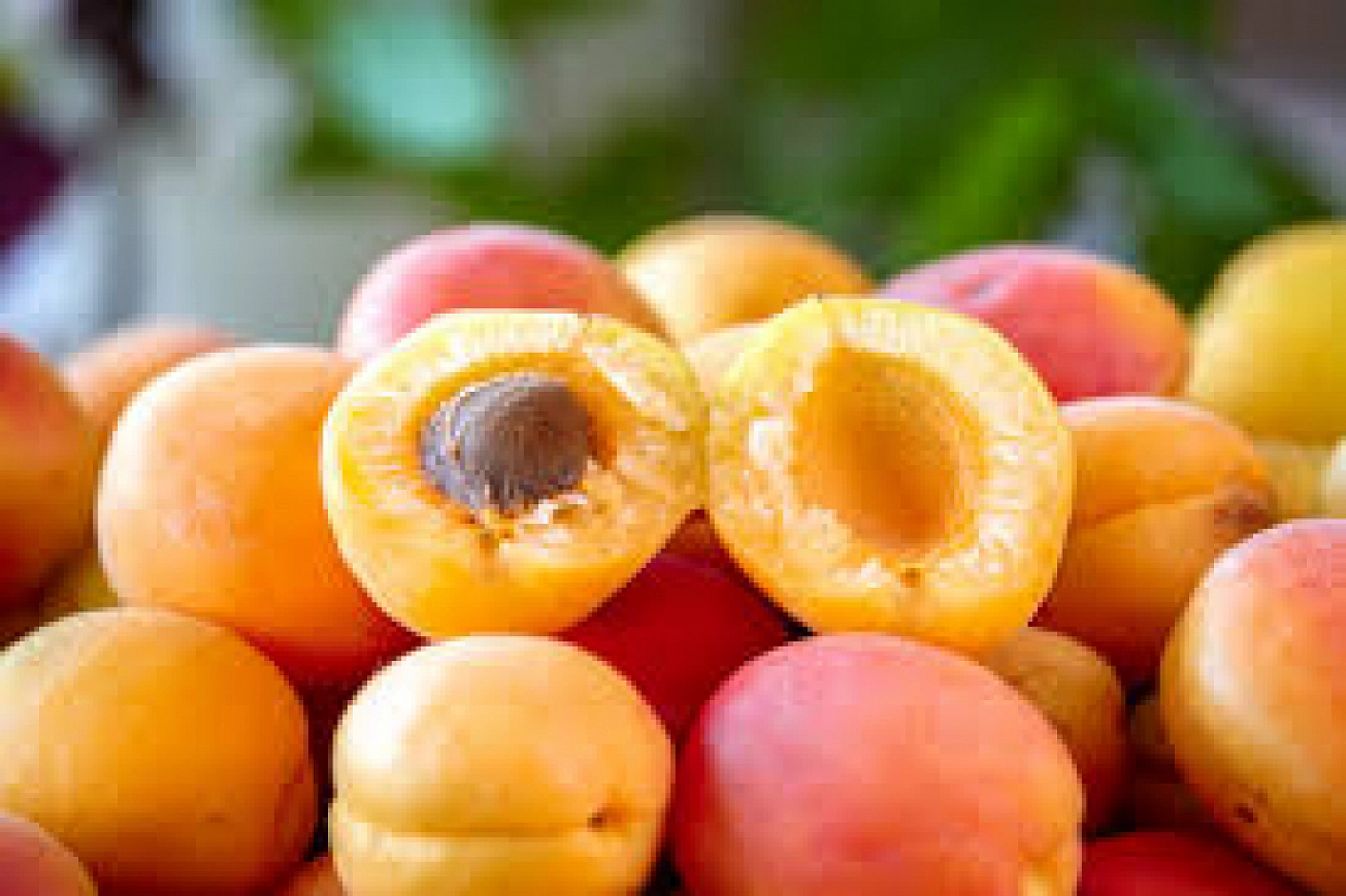 Malatya adının Hititçe kökeni ne anlama geliyor?