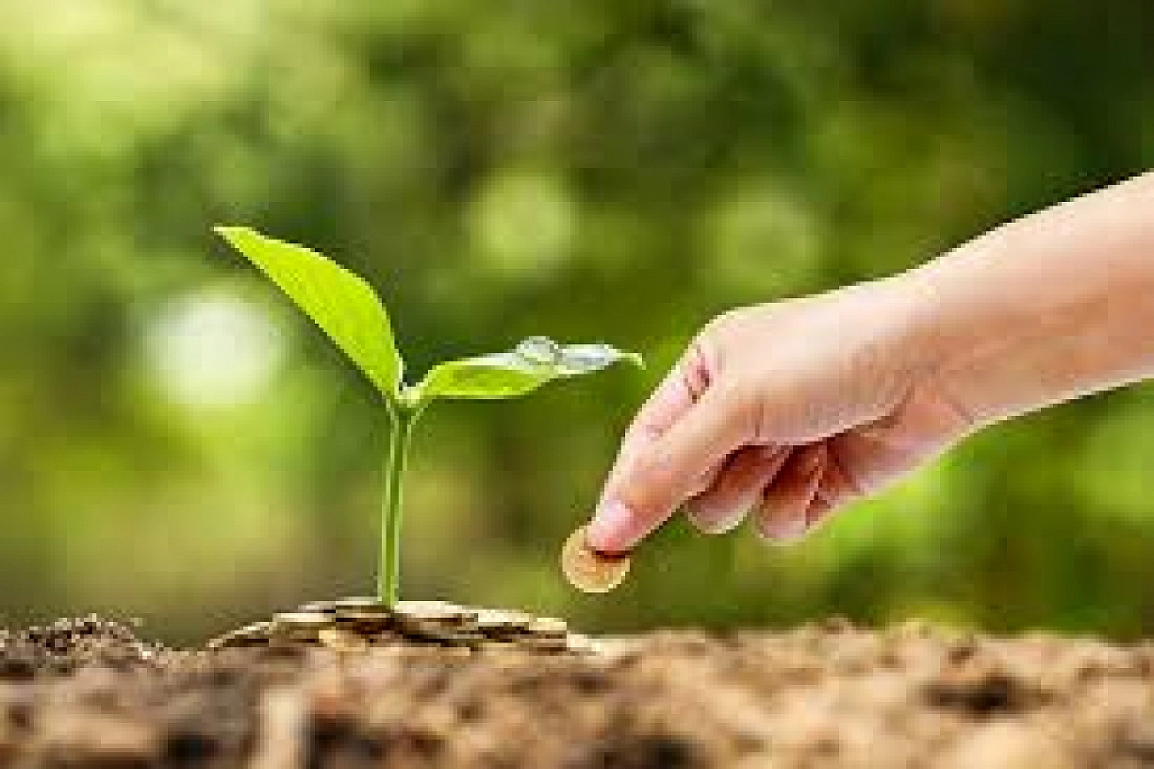 Malatyalılar dikkat: Hesaplarınızı kontrol edin ödemeler yatıyor…