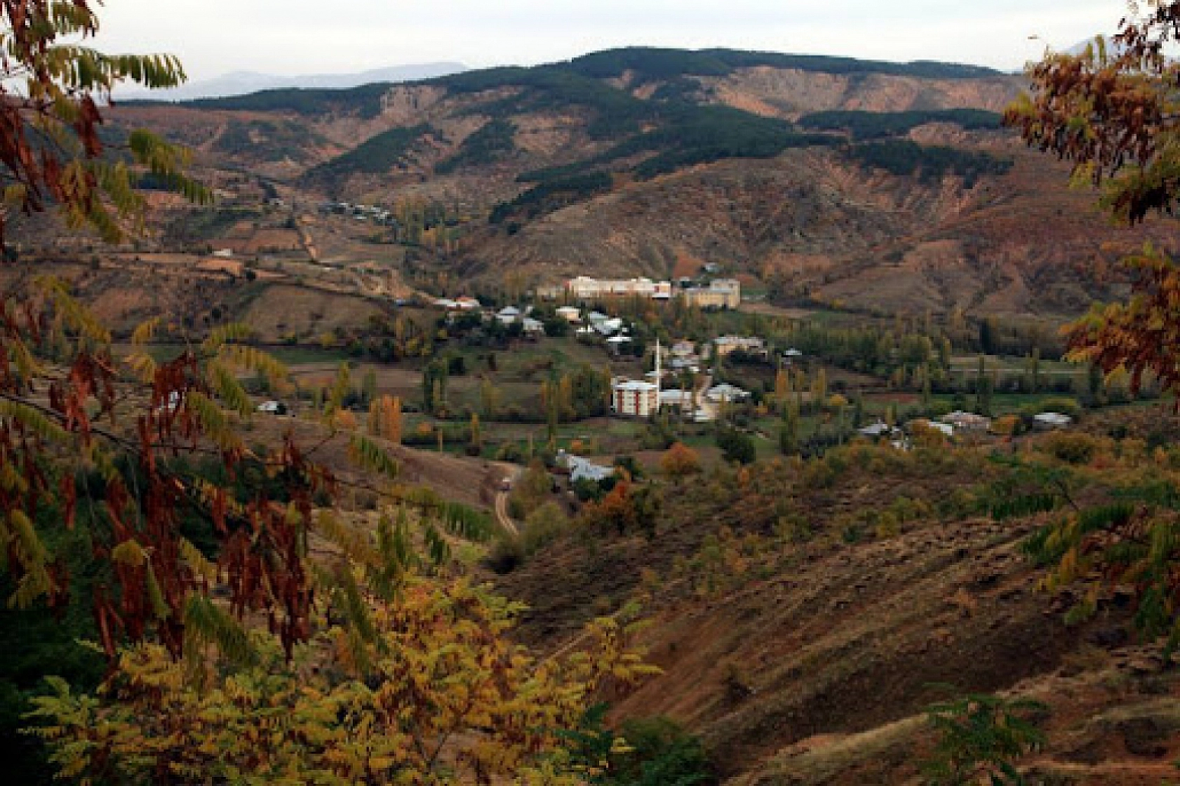 Malatya'da 57 sahada sürdürülüyor... Kayısıyı madenler kuruttu! 'Zehirlenmek istemiyoruz'