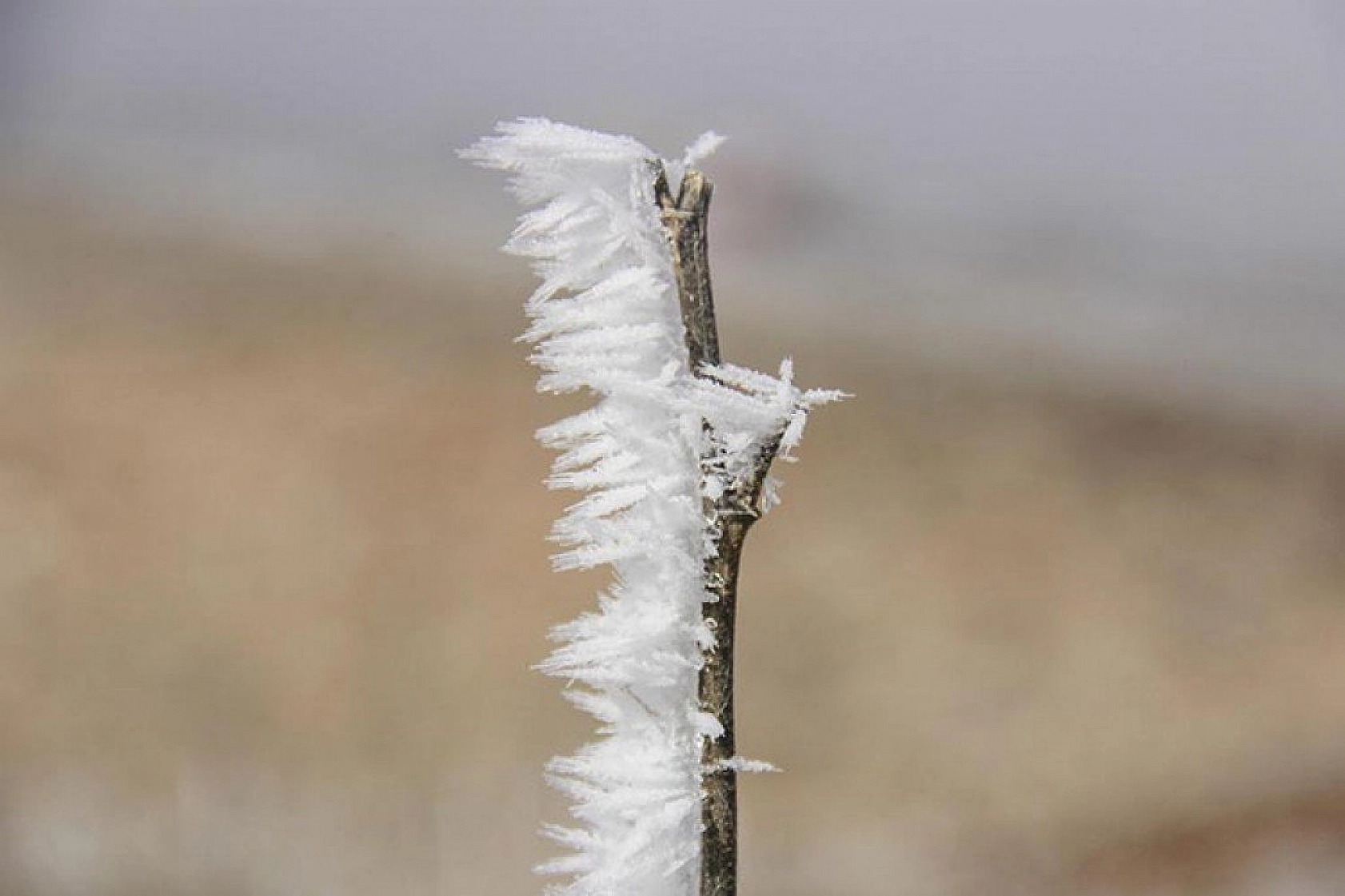 Tunceli'de kırağı kartpostallık görüntüler oluşturdu