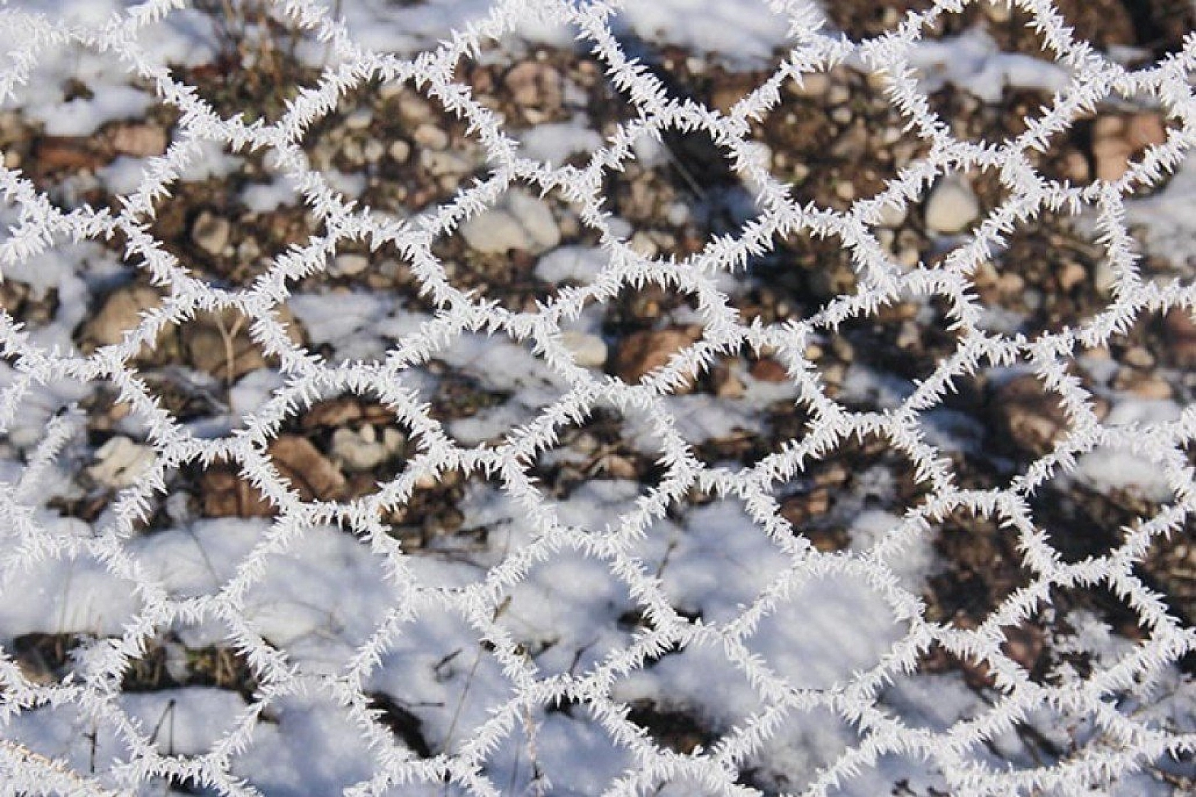 Tunceli'de kırağı kartpostallık görüntüler oluşturdu