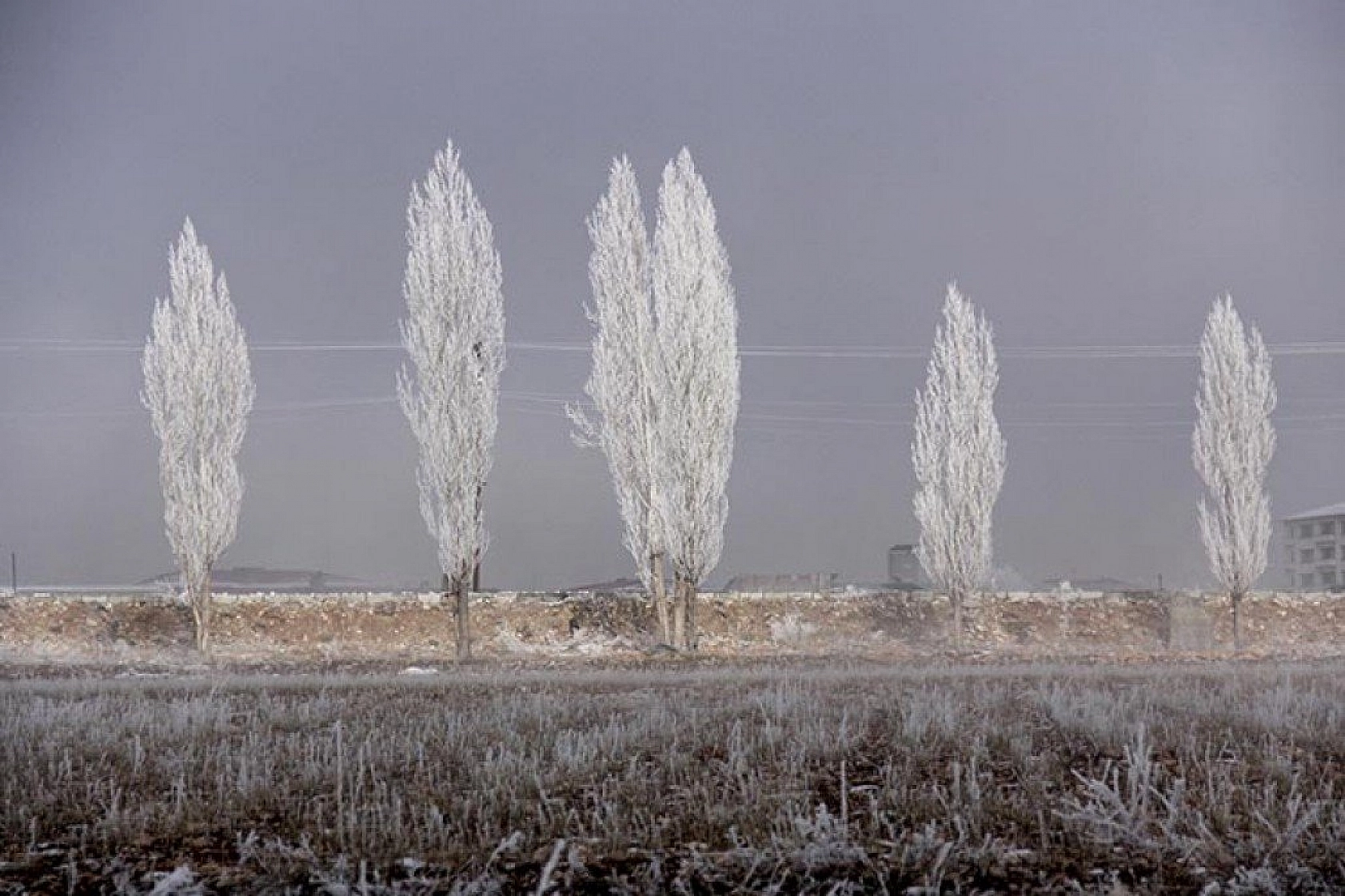 Tunceli'de kırağı kartpostallık görüntüler oluşturdu
