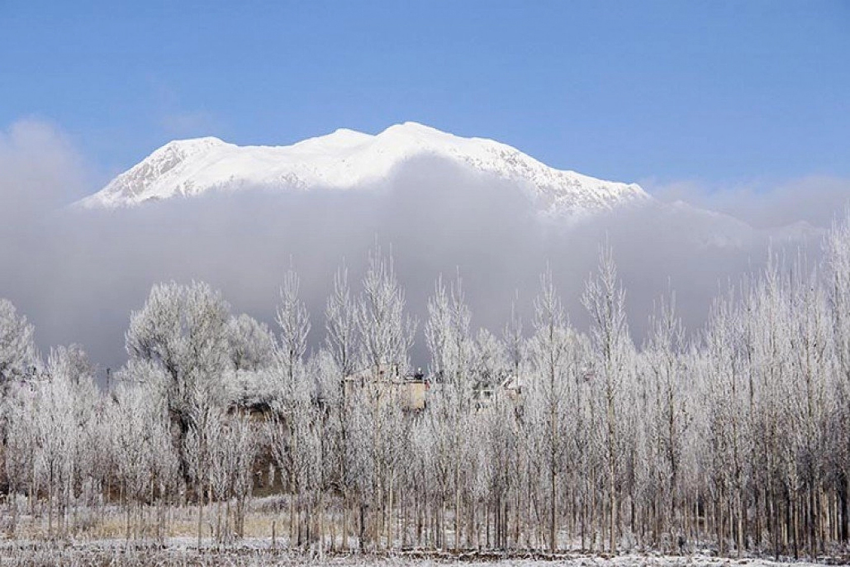 Tunceli'de kırağı kartpostallık görüntüler oluşturdu