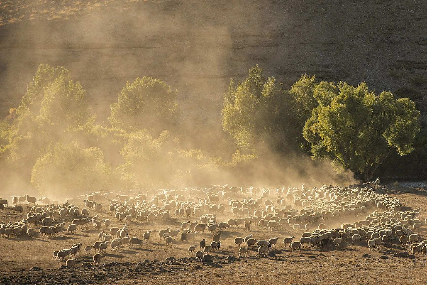 Zorlu dönüş başladı