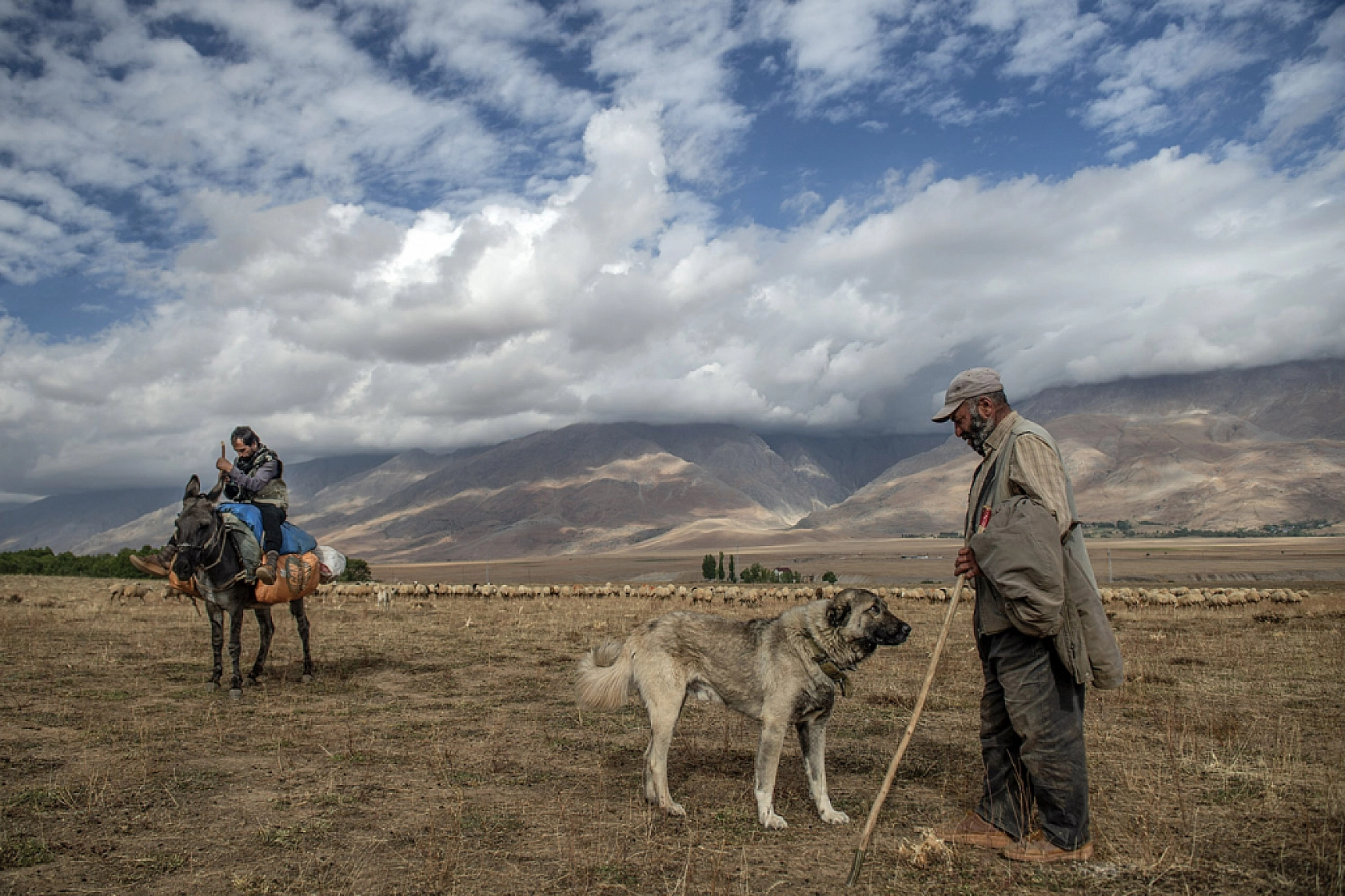 Zorlu dönüş başladı