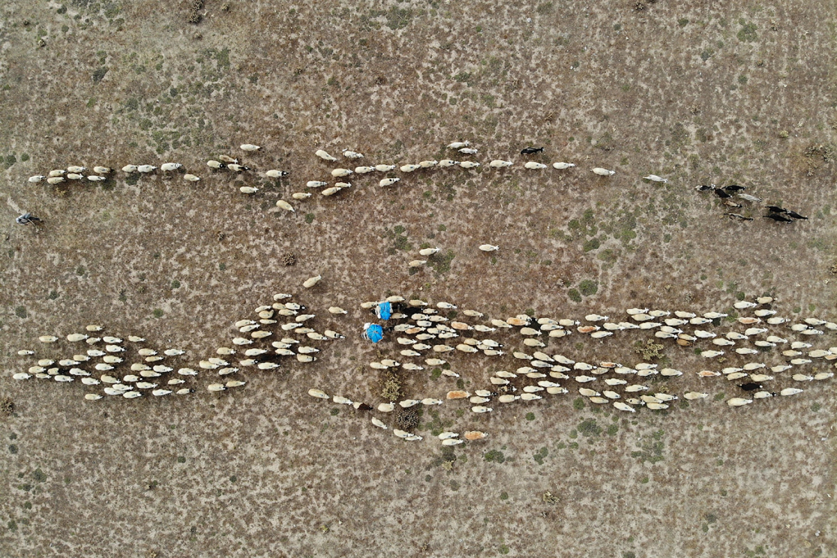 Zorlu dönüş başladı