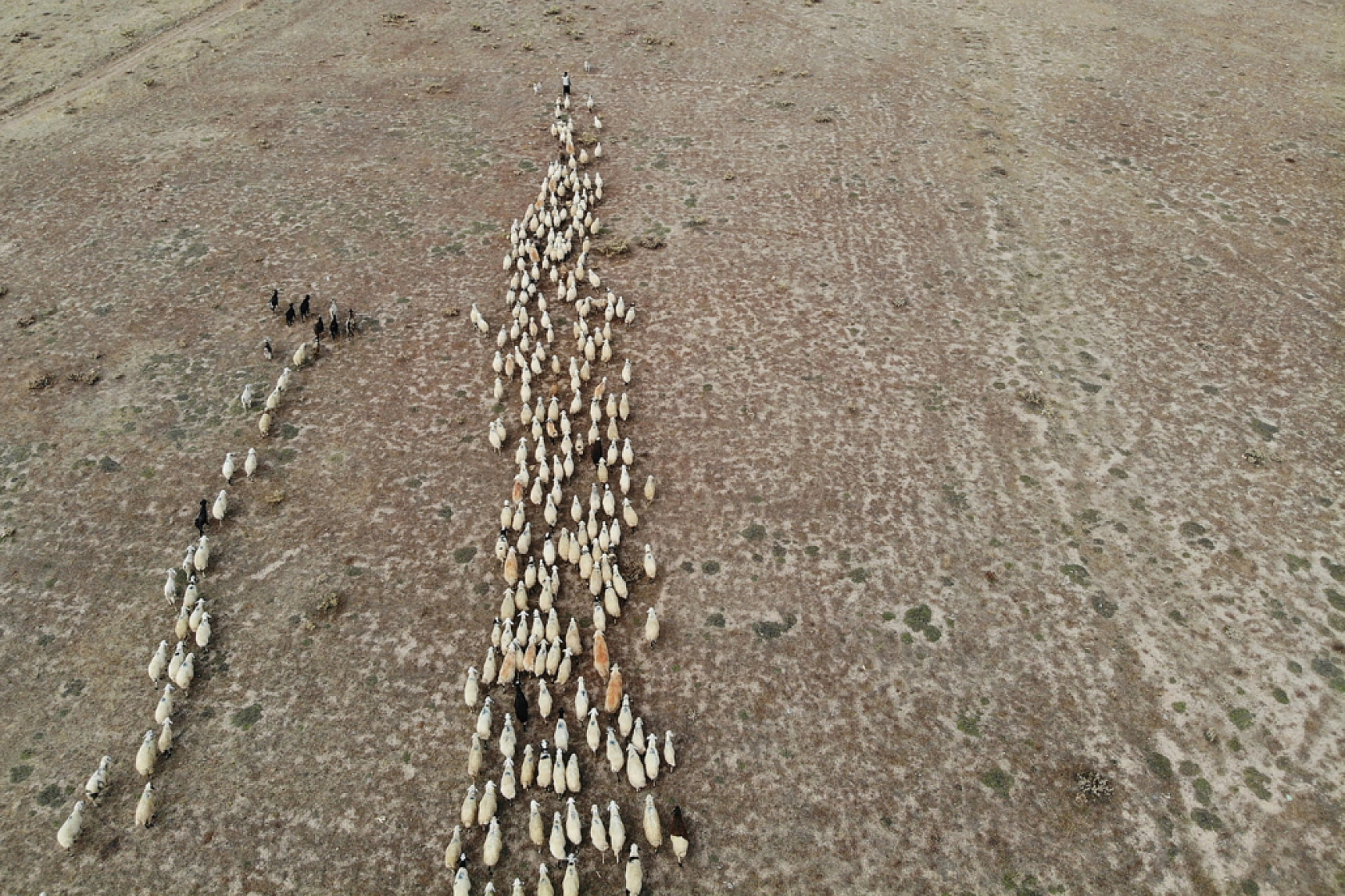 Zorlu dönüş başladı