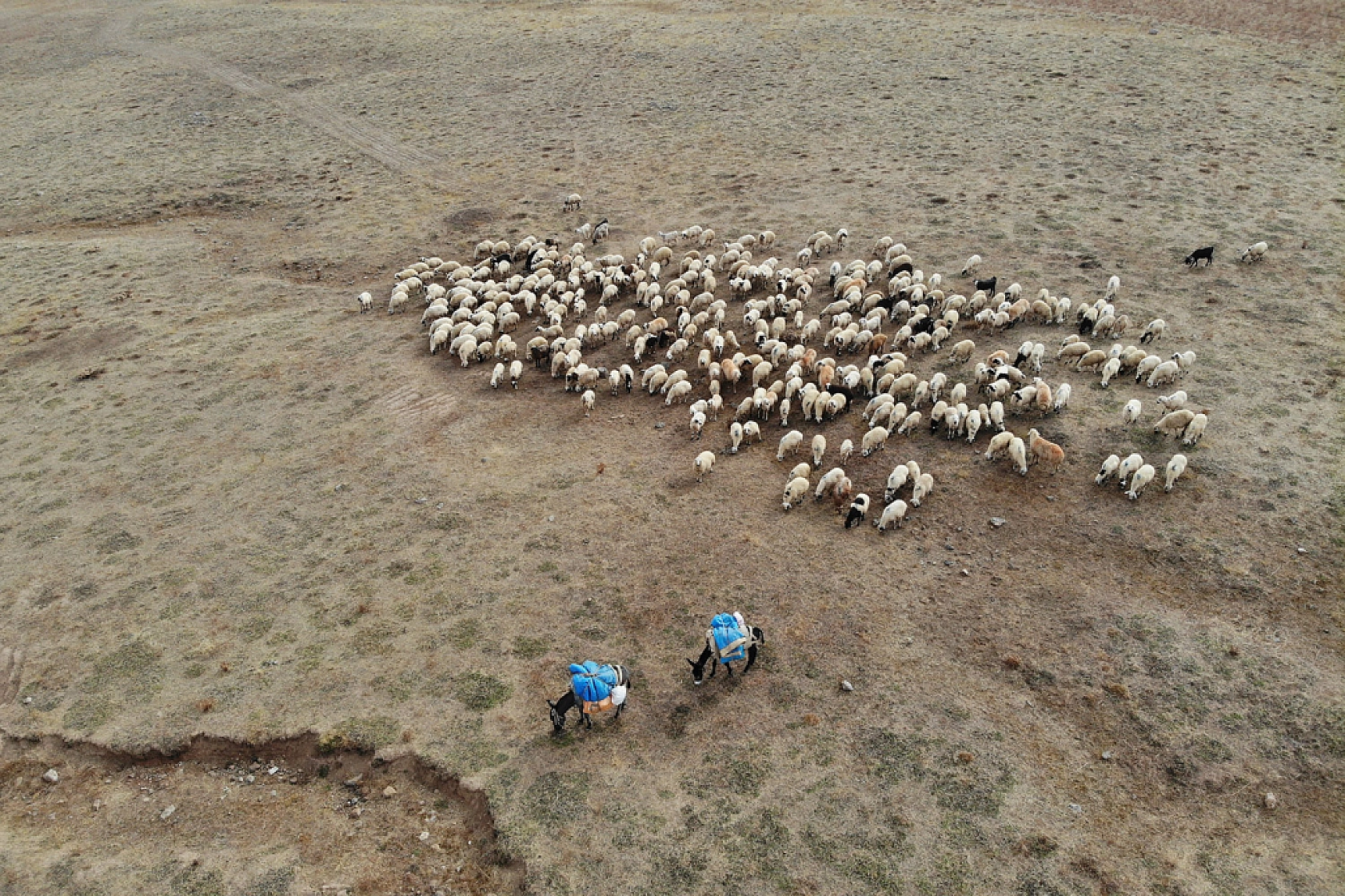 Zorlu dönüş başladı