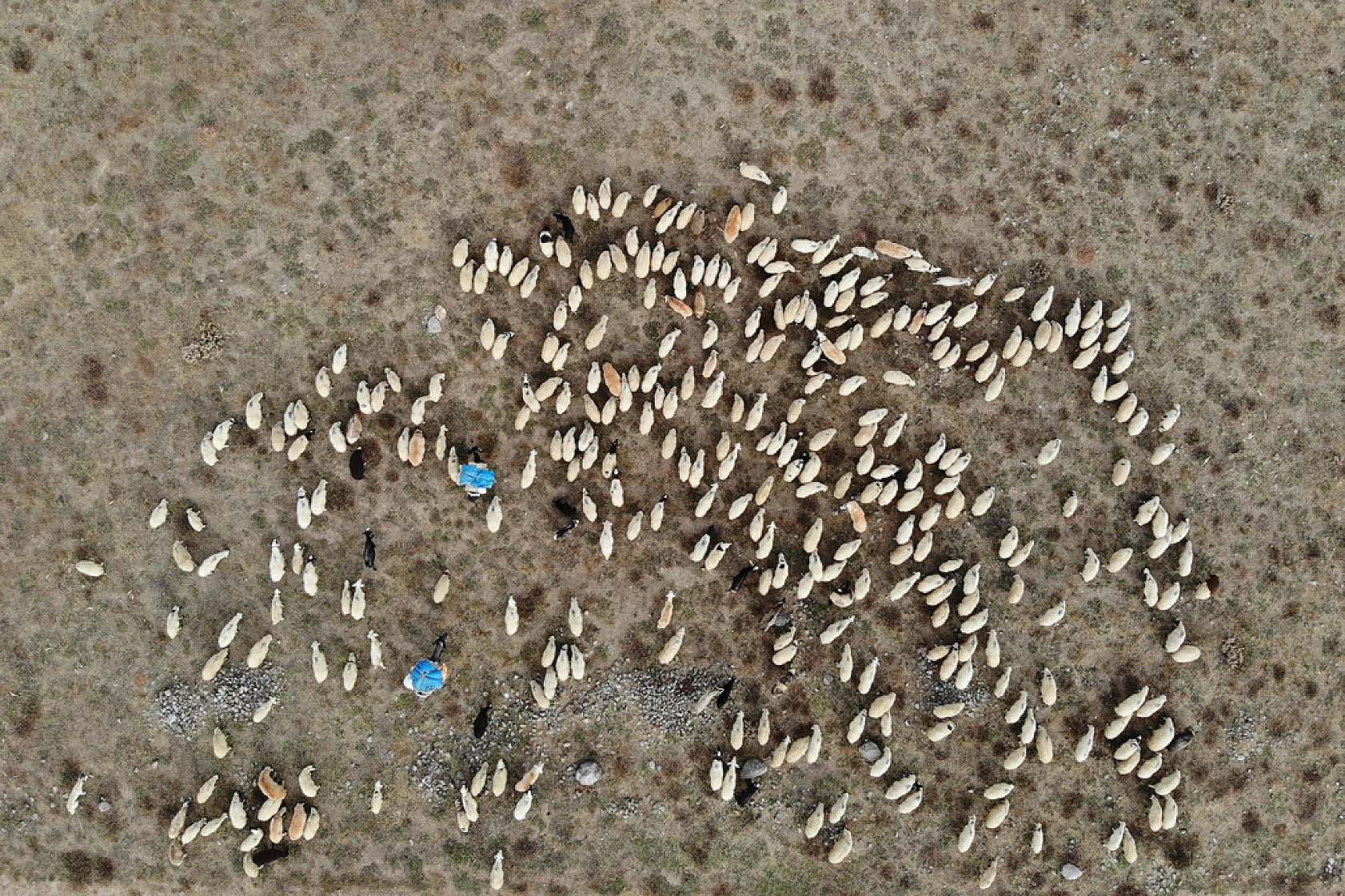 Zorlu dönüş başladı