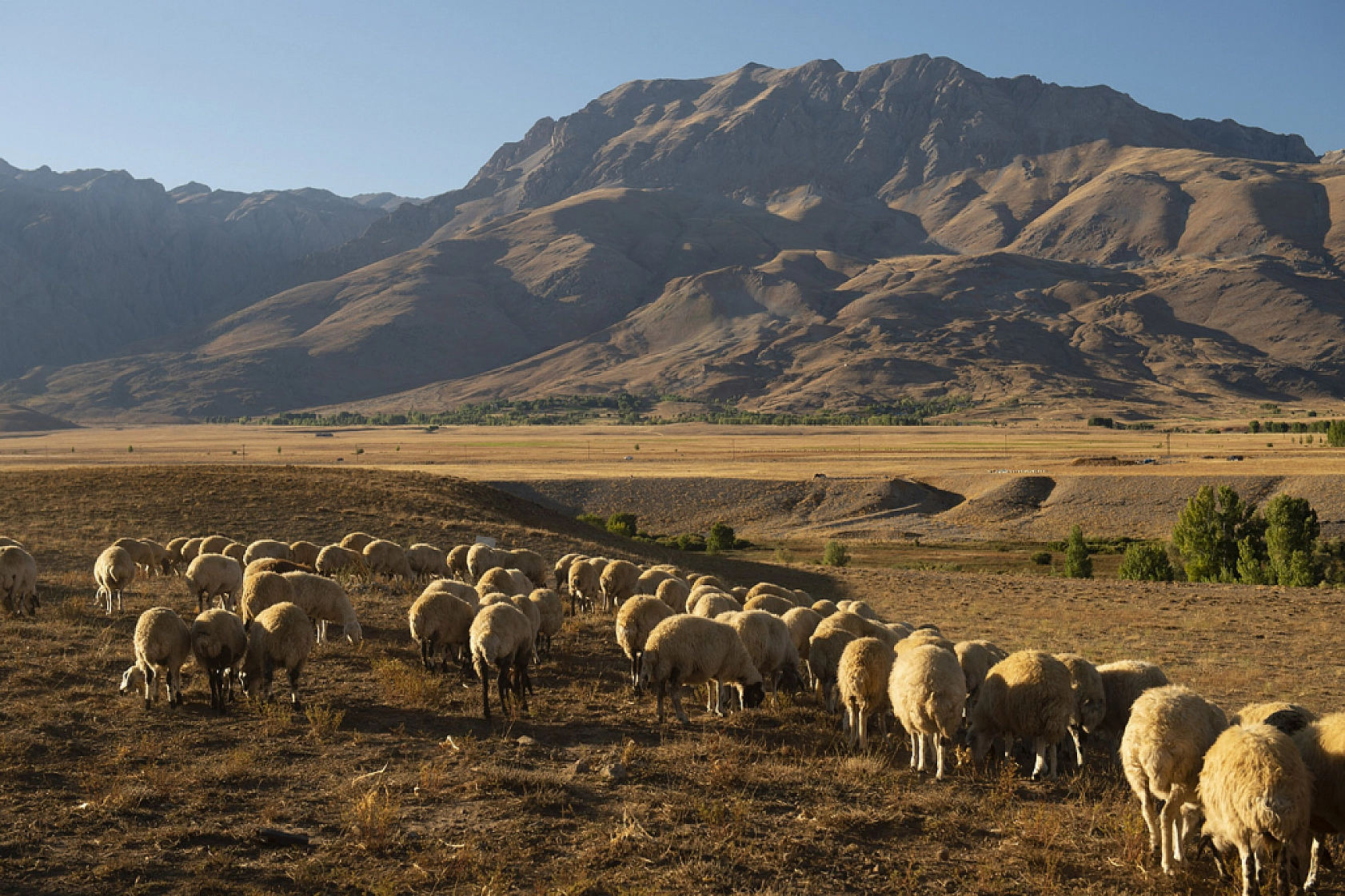 Zorlu dönüş başladı