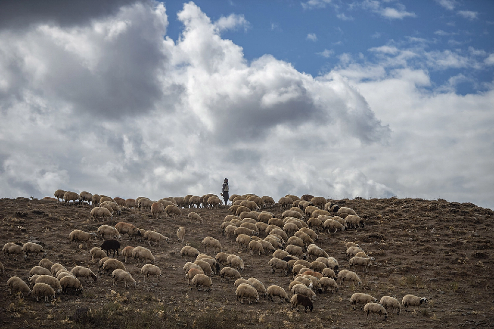 Zorlu dönüş başladı