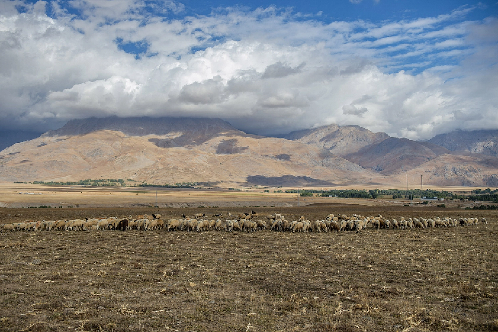 Zorlu dönüş başladı