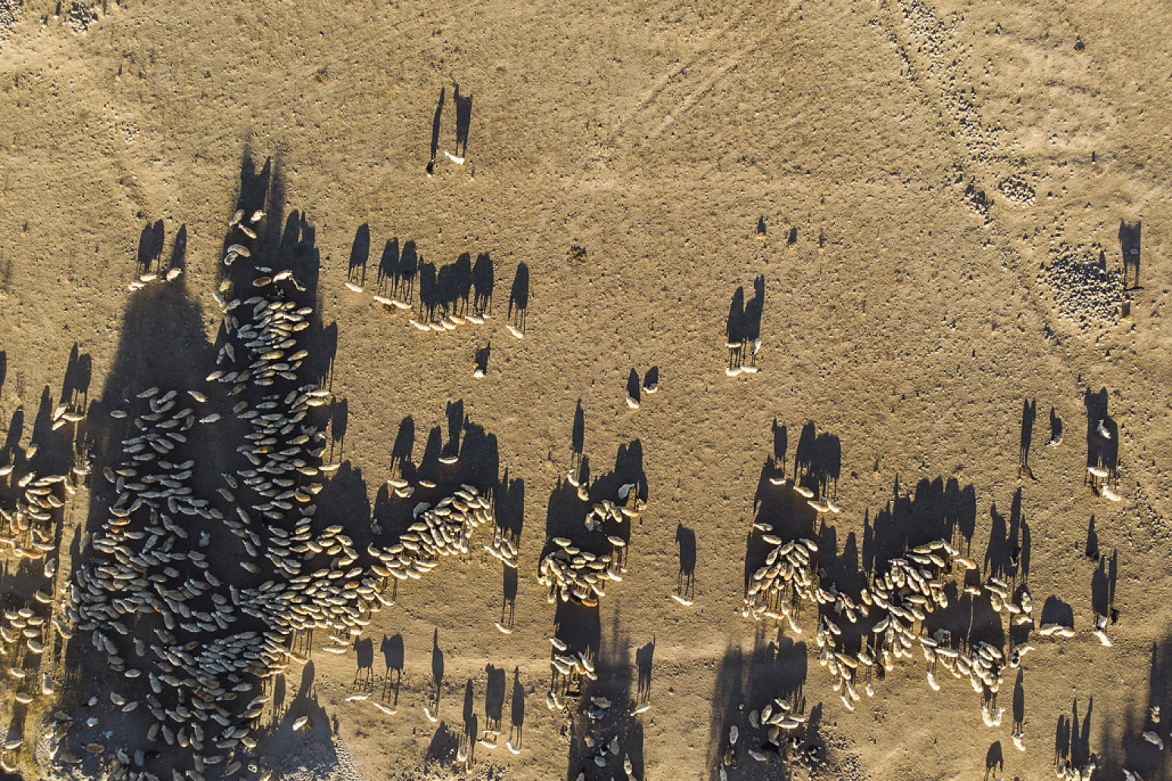 Zorlu dönüş başladı