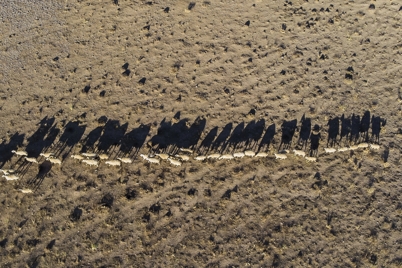 Zorlu dönüş başladı