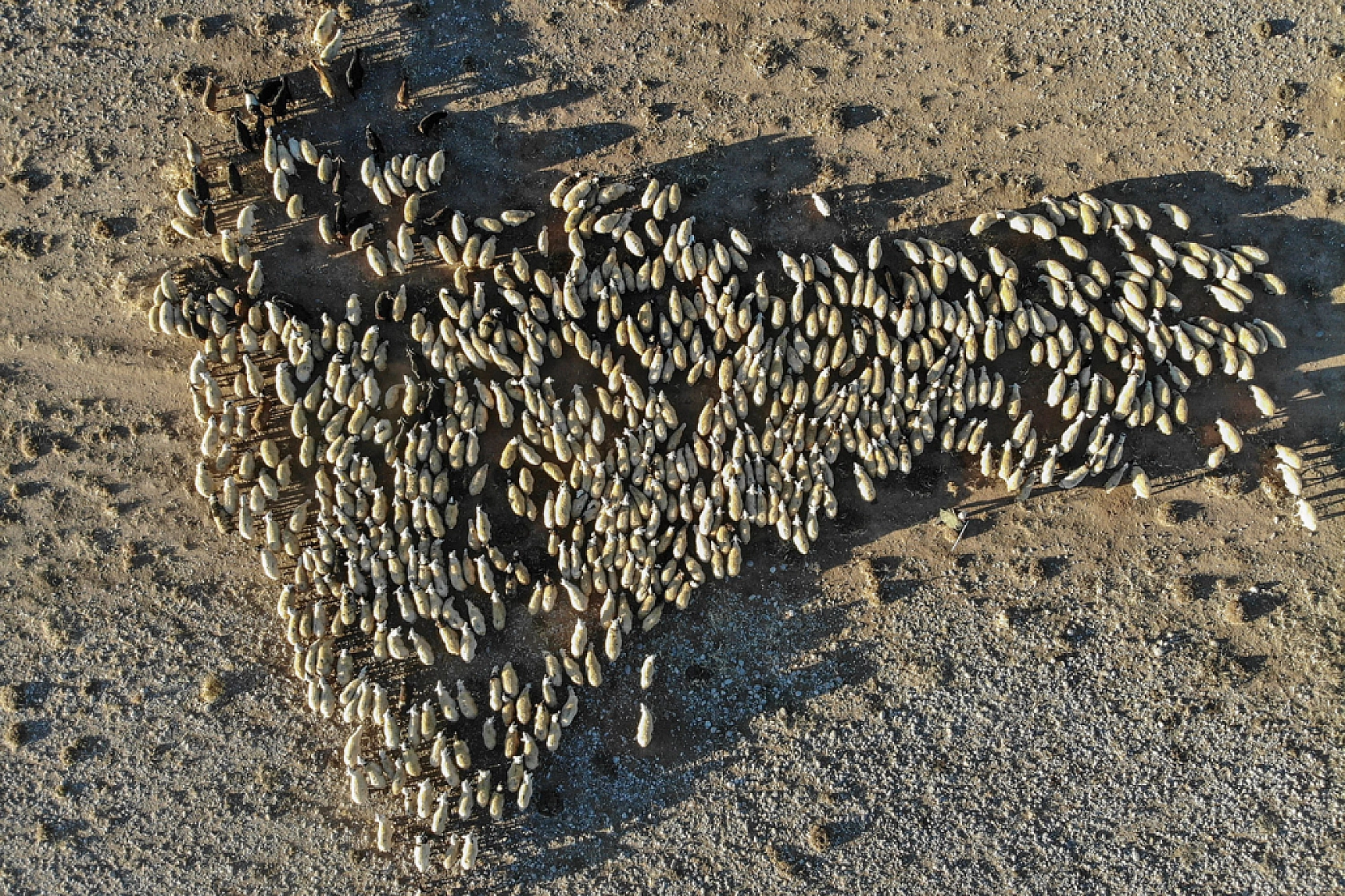 Zorlu dönüş başladı