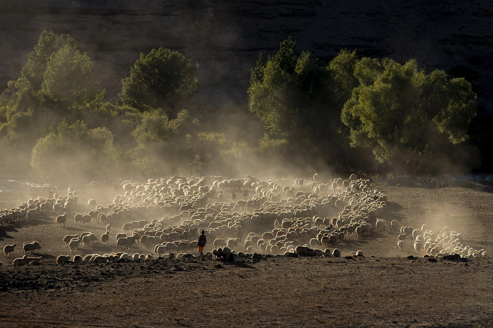 Zorlu dönüş başladı