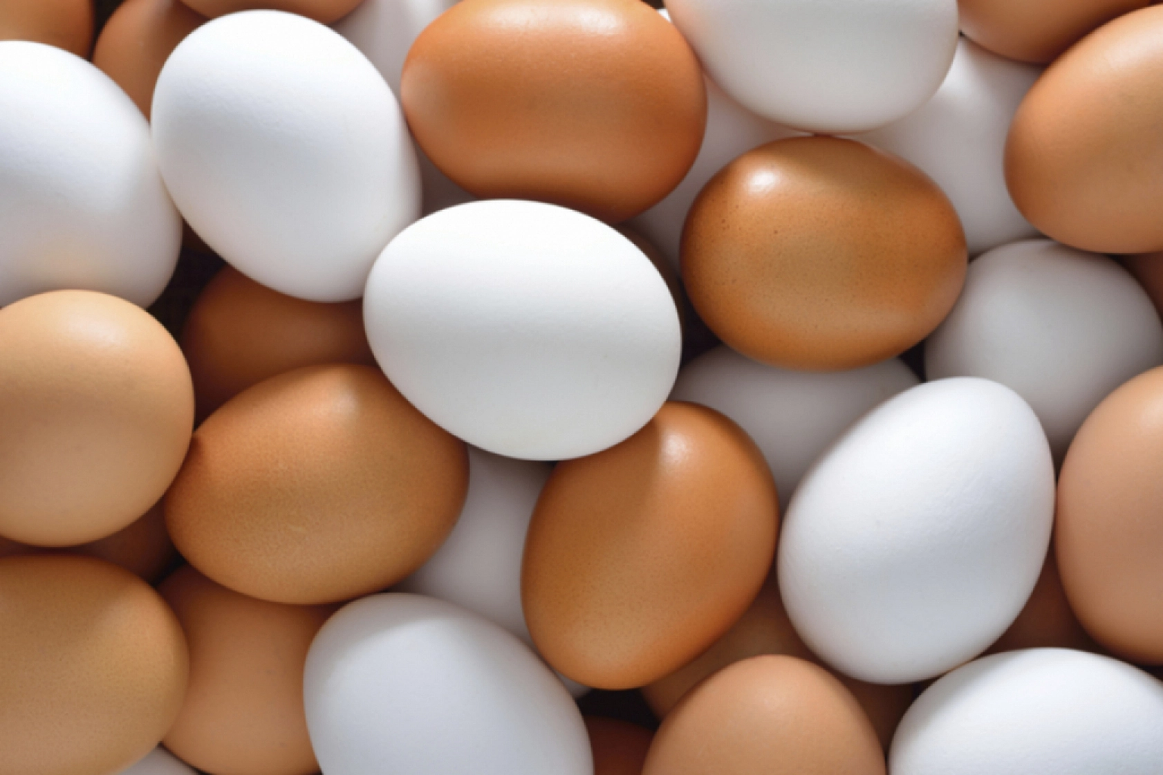ABD'de Salmonella alarmı: 20 milyondan fazla yumurta piyasadan çekildi