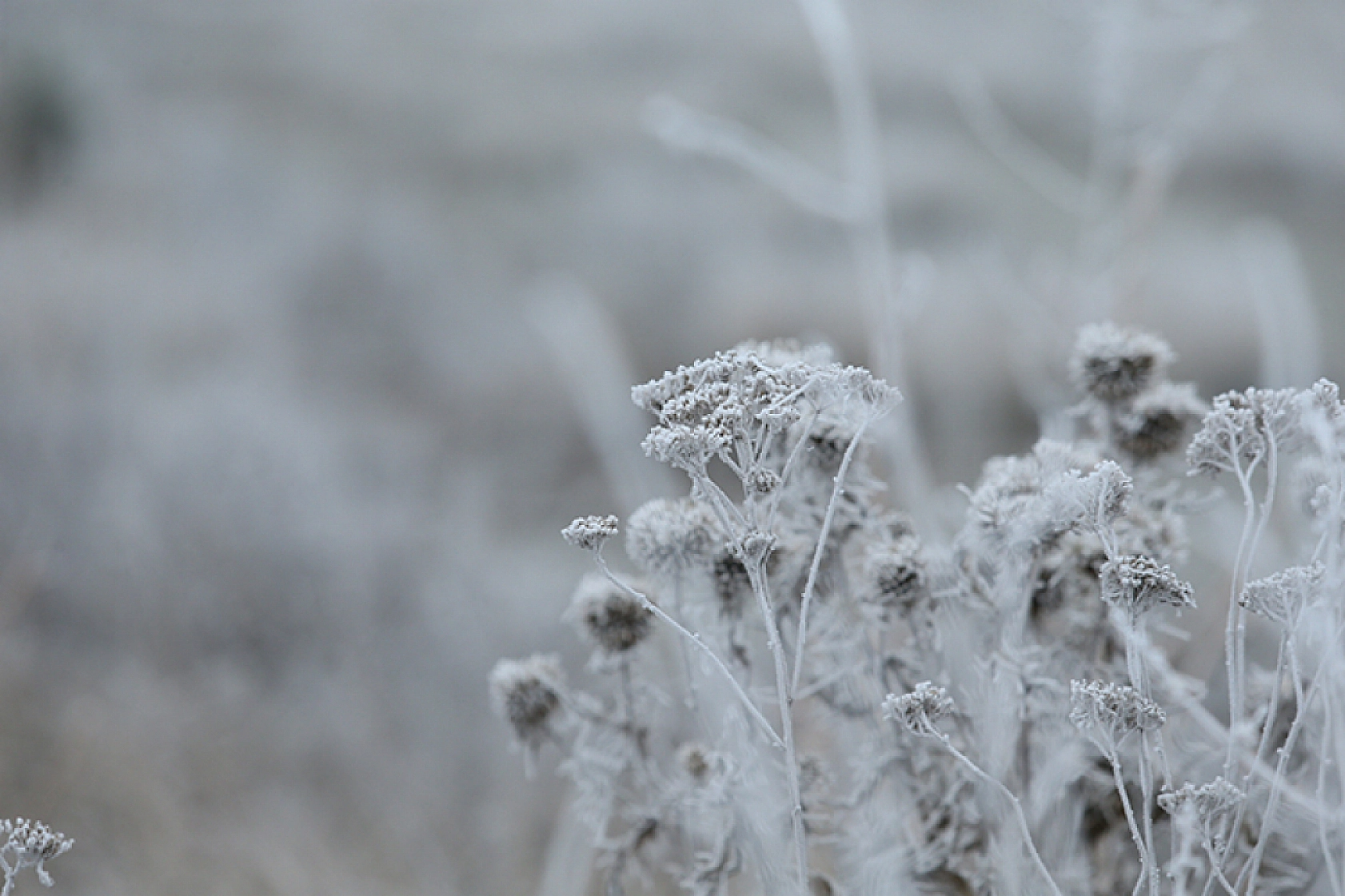 Malatya'da Soğuk Havanın Etkisi Devam Ediyor!