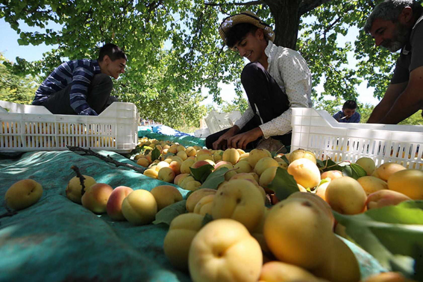 Malatya'da yevmiye ücretleri belli oldu!